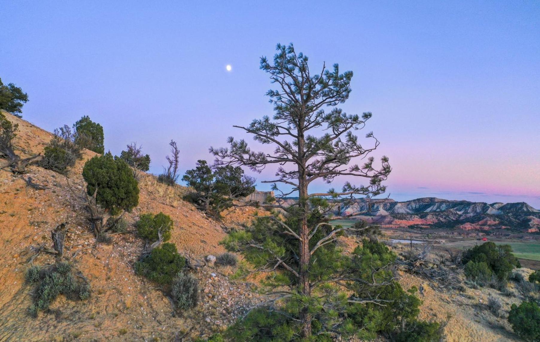 Clear Sky Resorts - Bryce Canyon - Unique Stargazing Domes photo 21