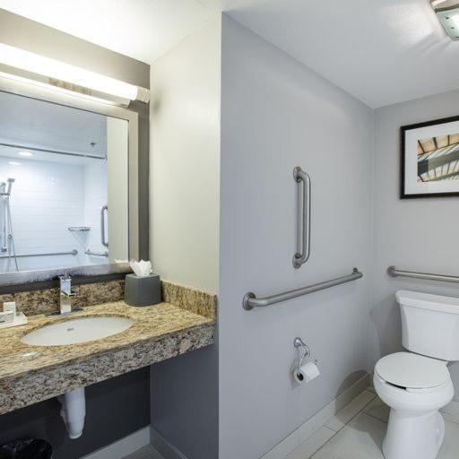 Holiday Inn St Louis SW - Route 66 by IHG photo 9