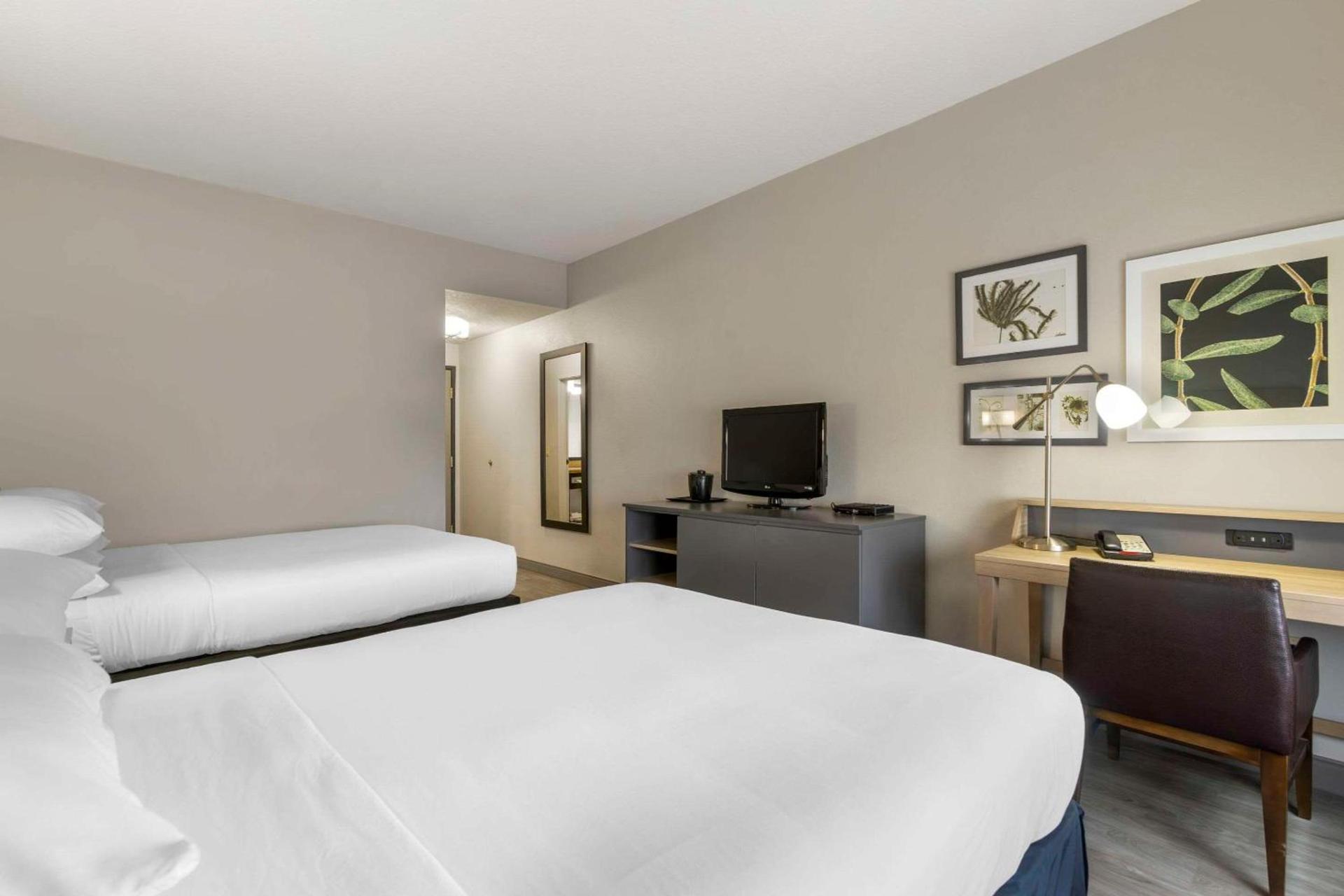 Country Inn & Suites by Radisson, Tampa Airport North, FL photo 9