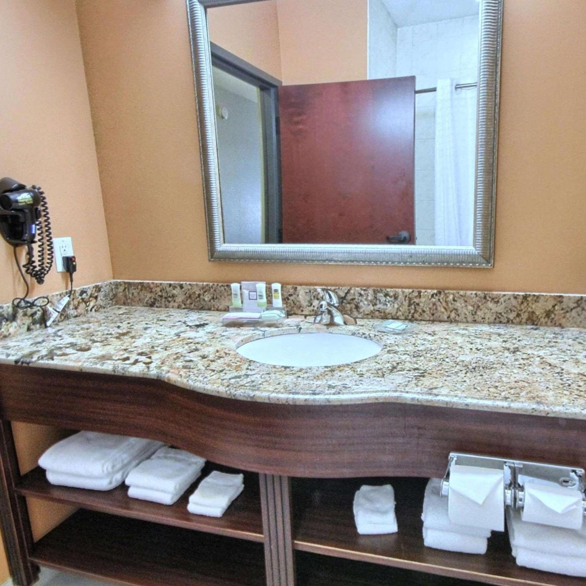 Country Inn & Suites by Radisson, Dearborn, MI photo 11
