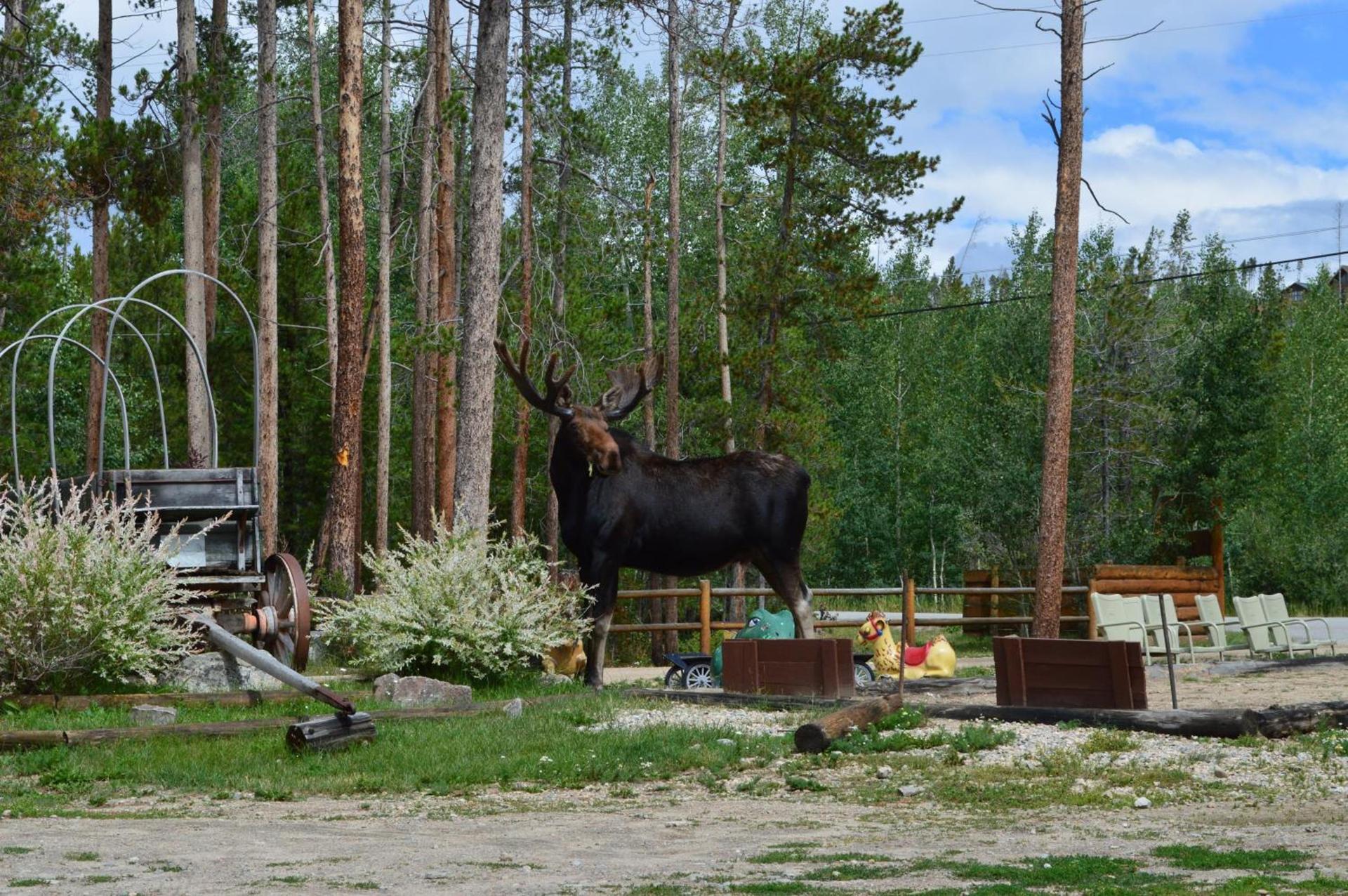 Daven Haven Lodge & Cabins photo 26