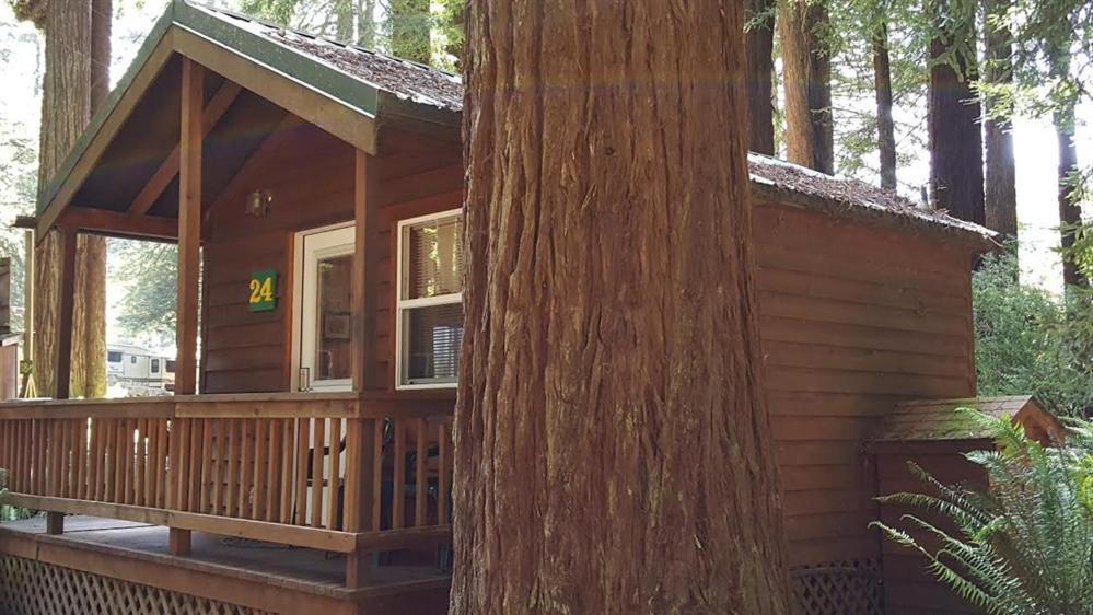 Emerald Forest Cabins — hotel in Trinidad