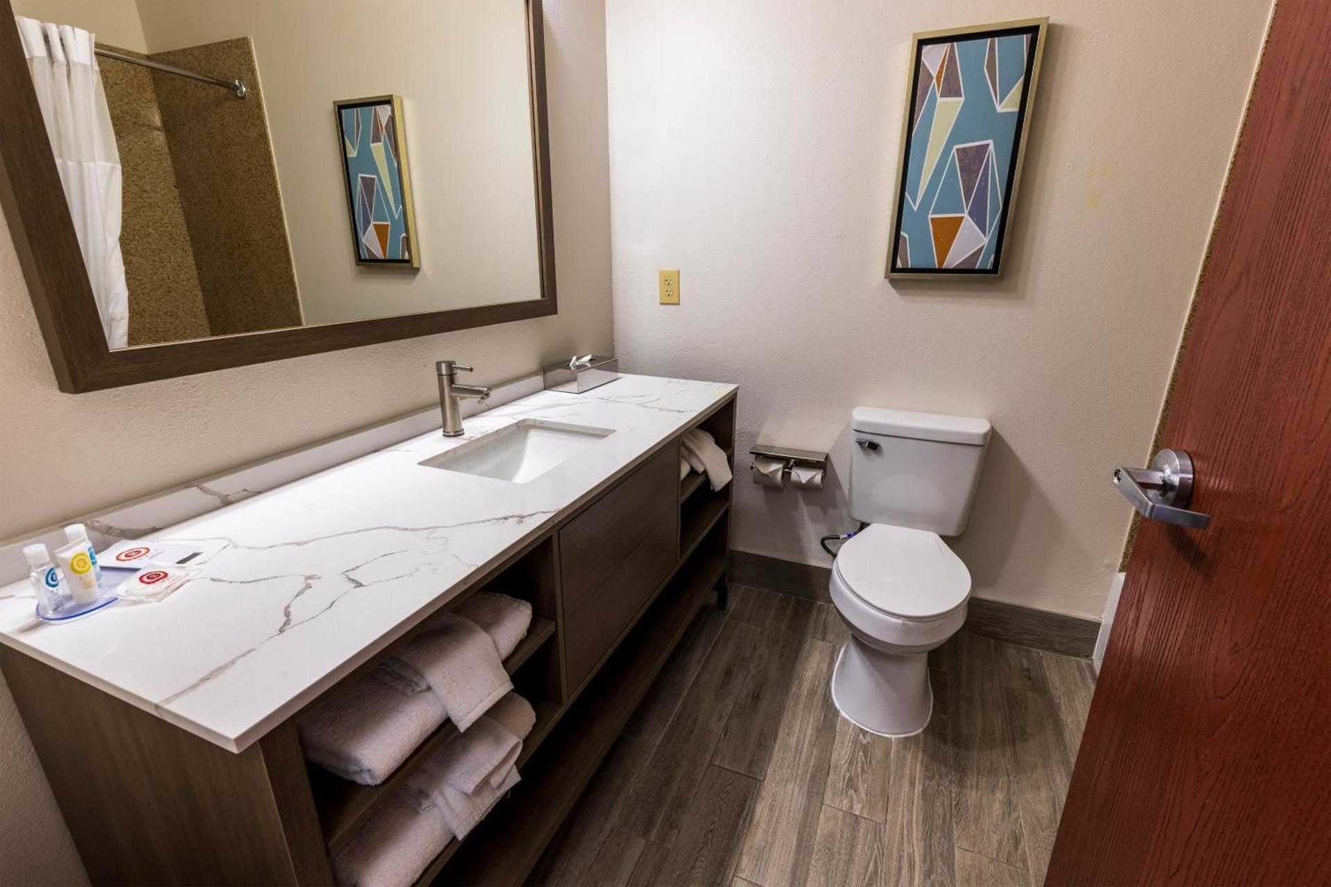 Comfort Inn & Suites New Iberia - Avery Island photo 64