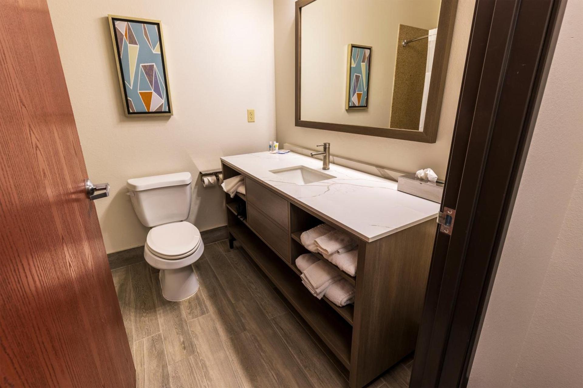 Comfort Inn & Suites New Iberia - Avery Island photo 68