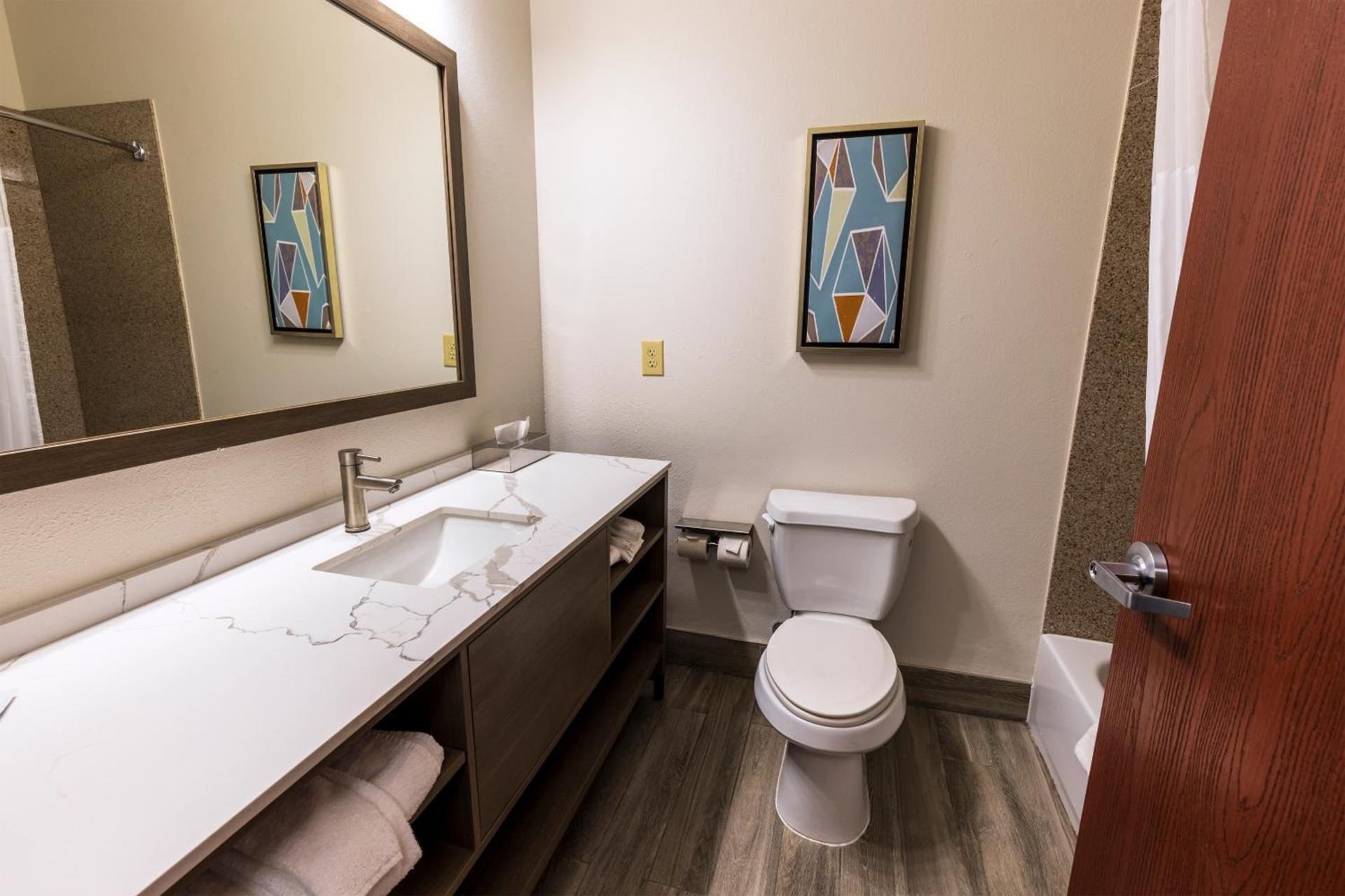 Comfort Inn & Suites New Iberia - Avery Island photo 72