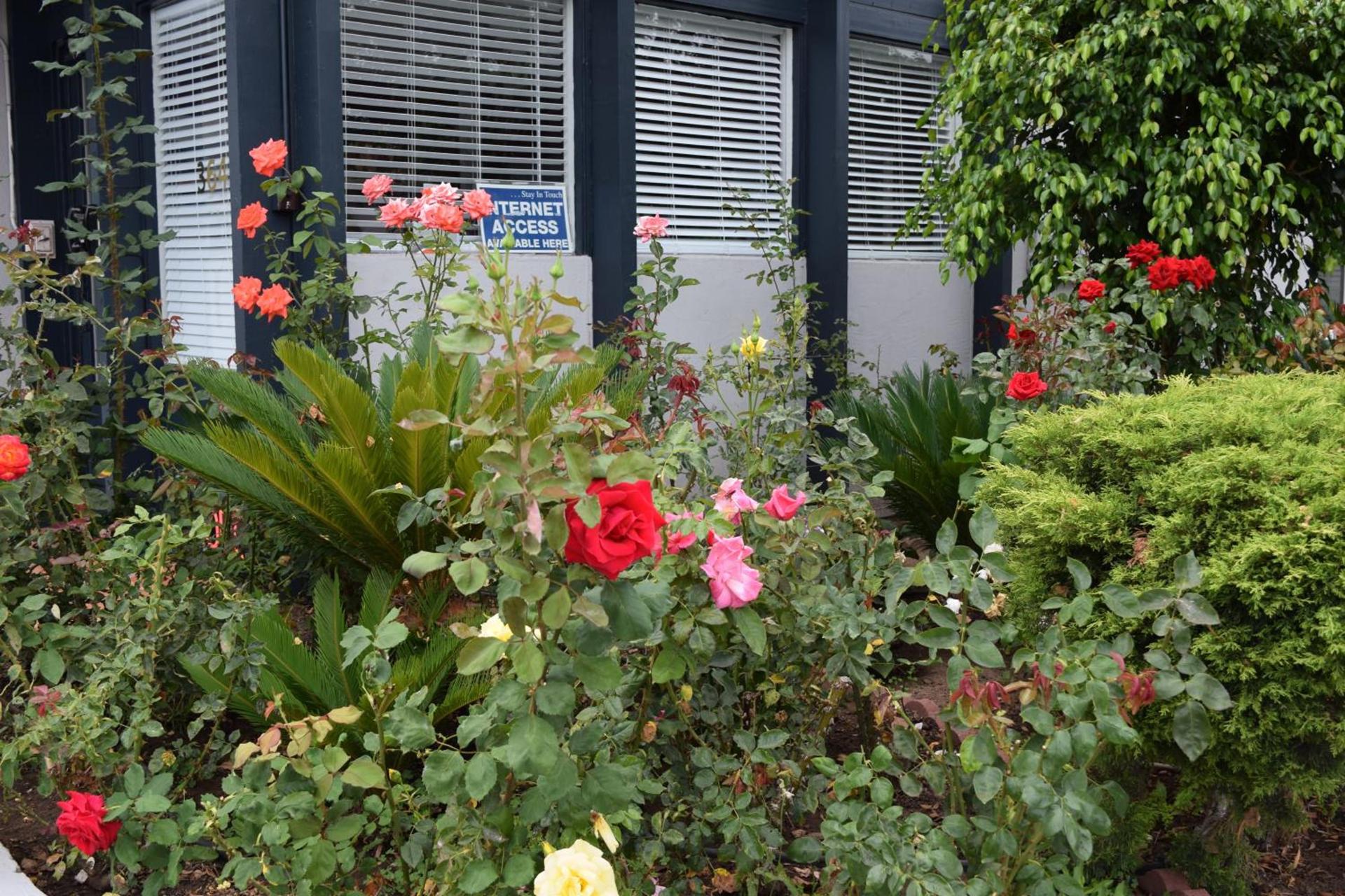 Rose Garden Inn photo 13
