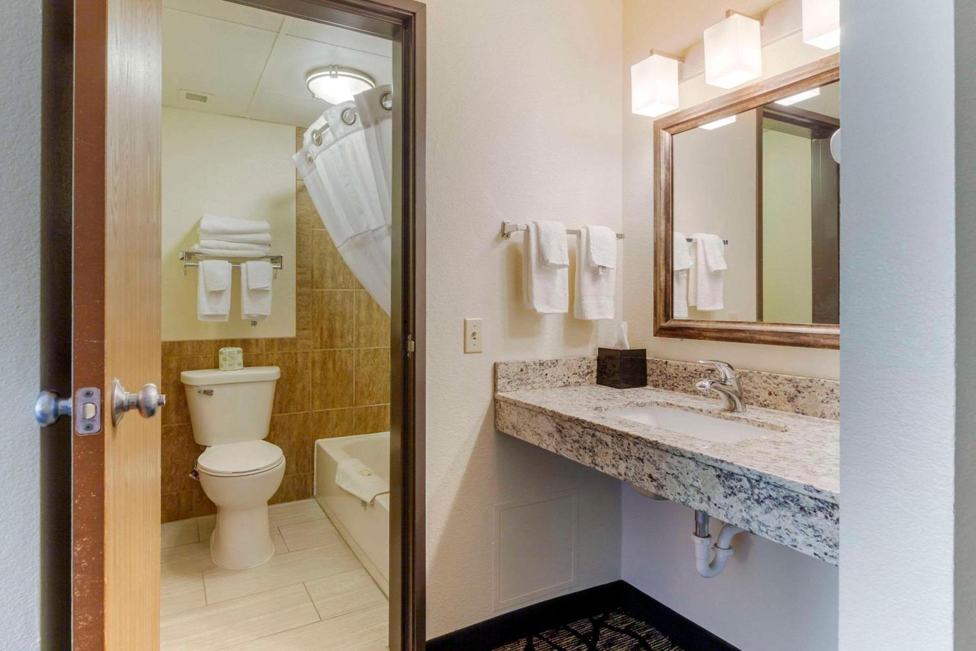 Quality Inn Oshkosh Aviation Park photo 25