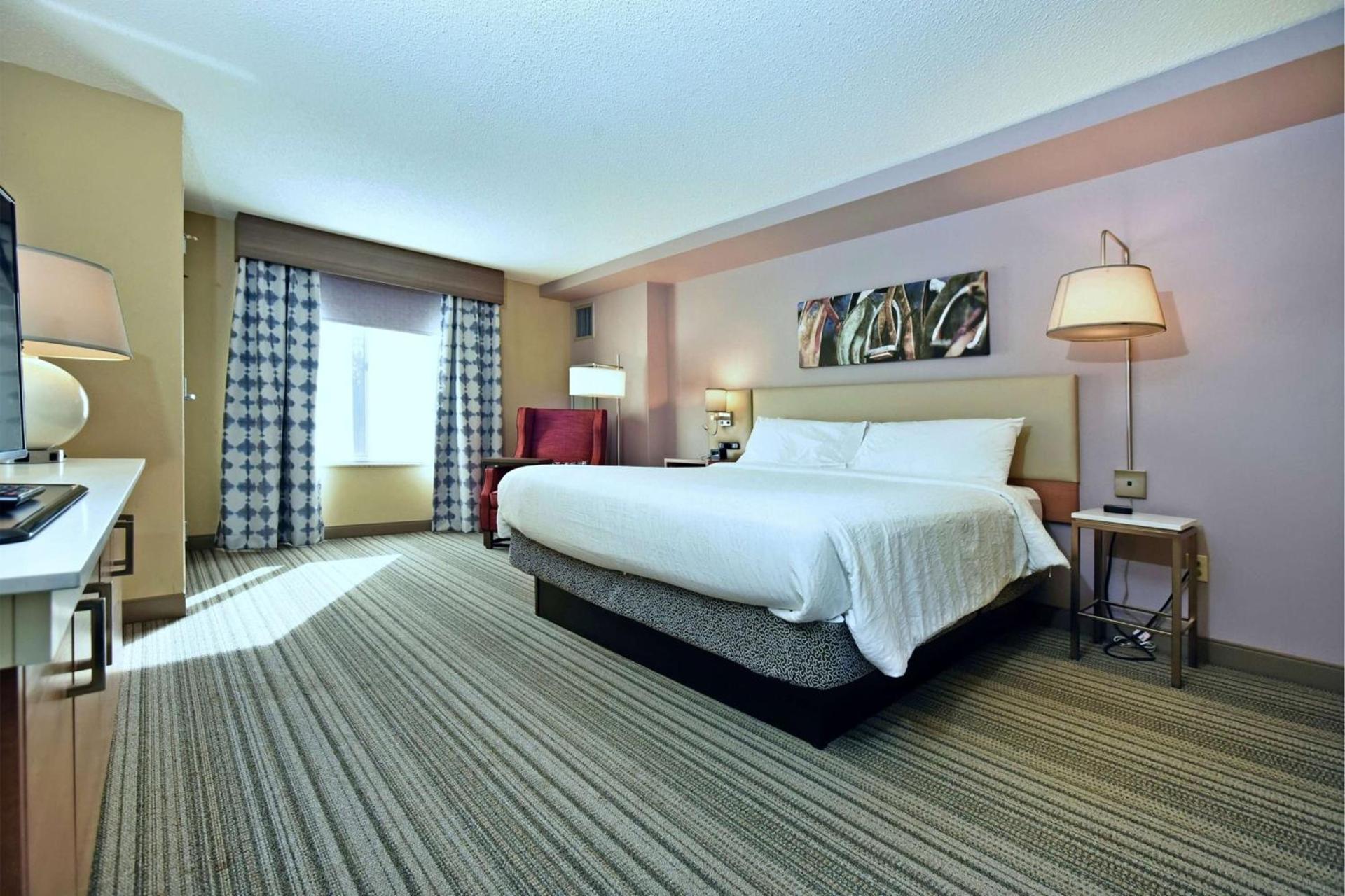 Hilton Garden Inn Saratoga Springs photo 63