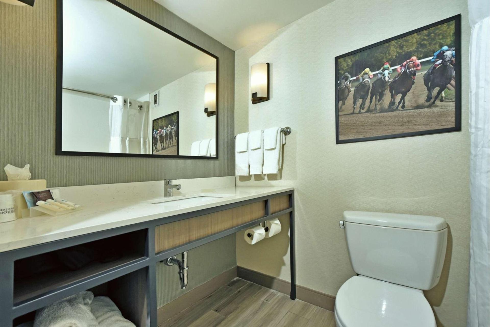 Hilton Garden Inn Saratoga Springs photo 68