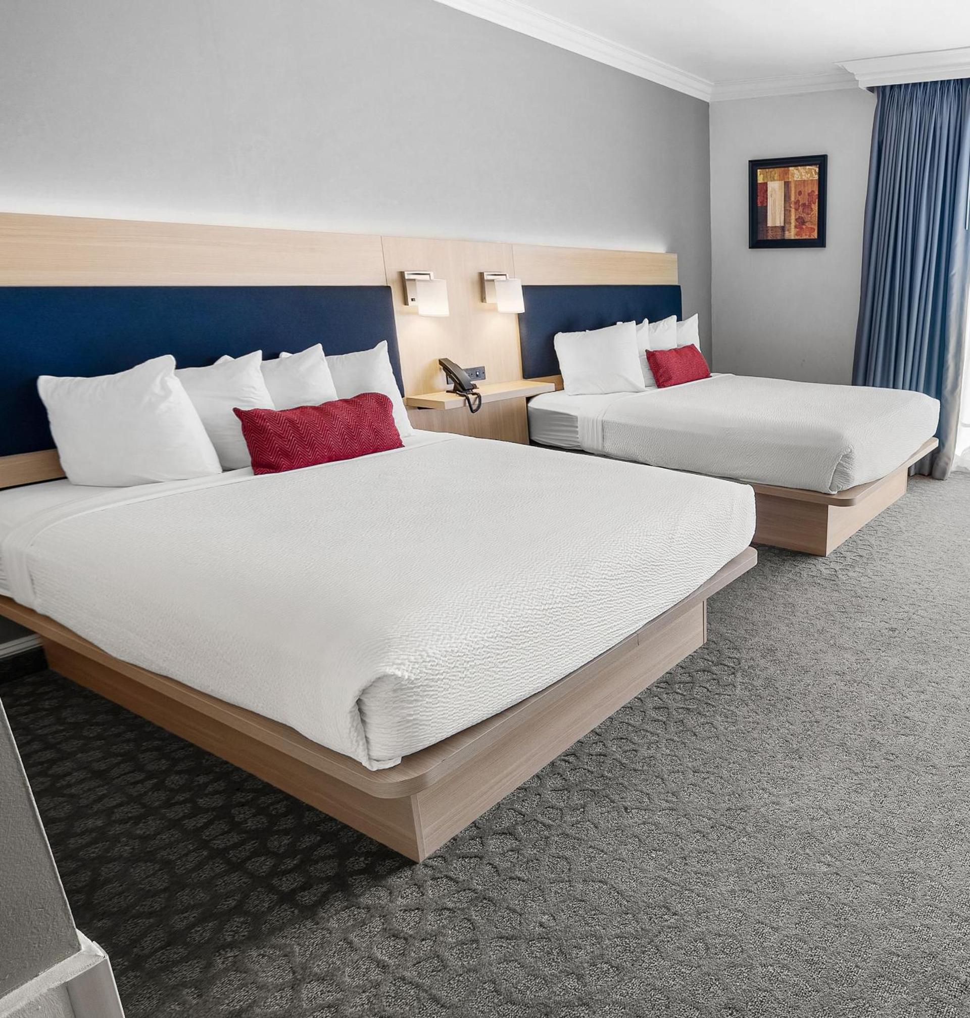 The Live Hotel photo 6