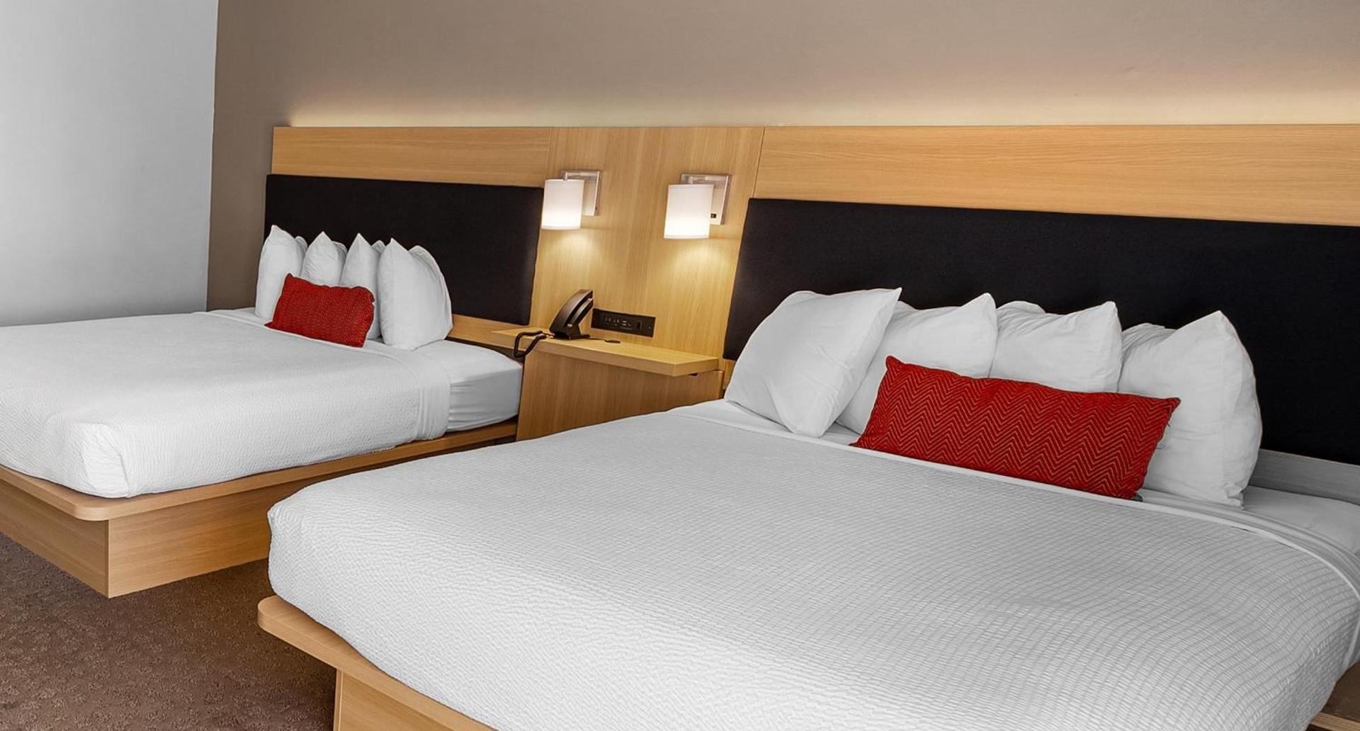 The Live Hotel photo 7