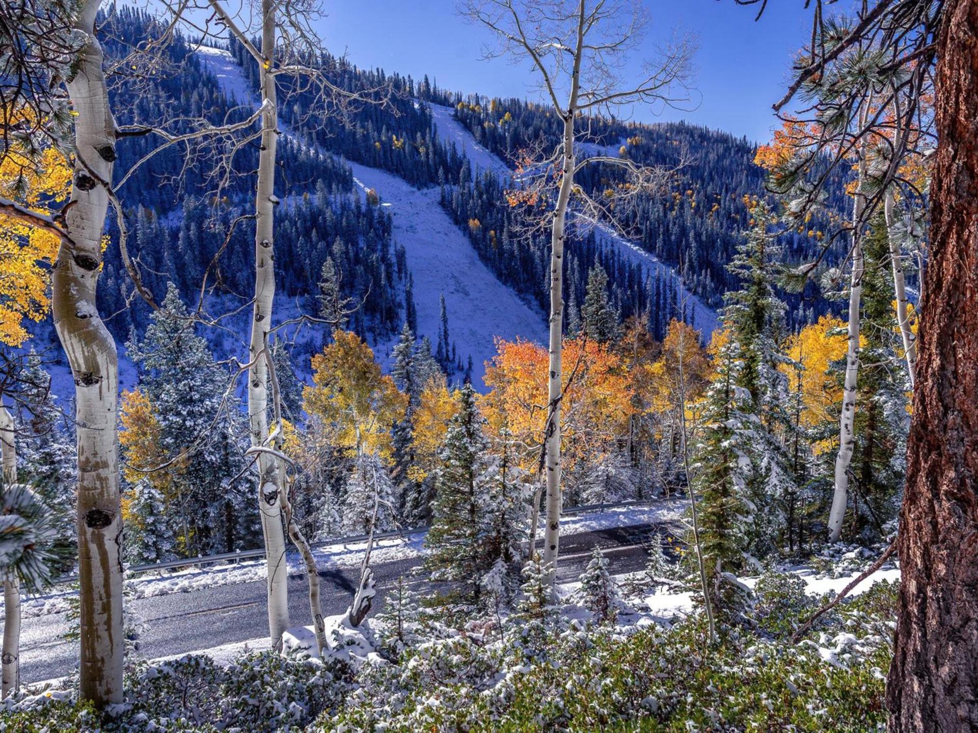 DeLano Motel & RV Park - Beaver, UT Near I-15 Bryce Canyon, Zion photo 28