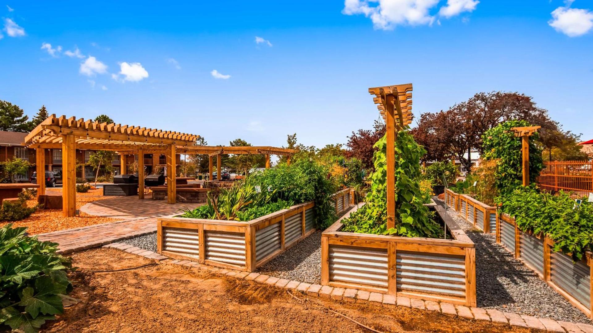 Best Western Plus Cedar City photo 9
