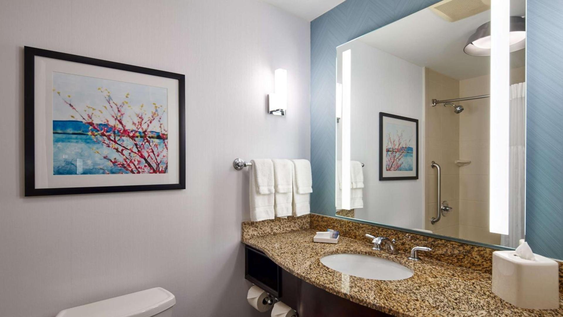 Hilton Garden Inn Merrillville photo 38