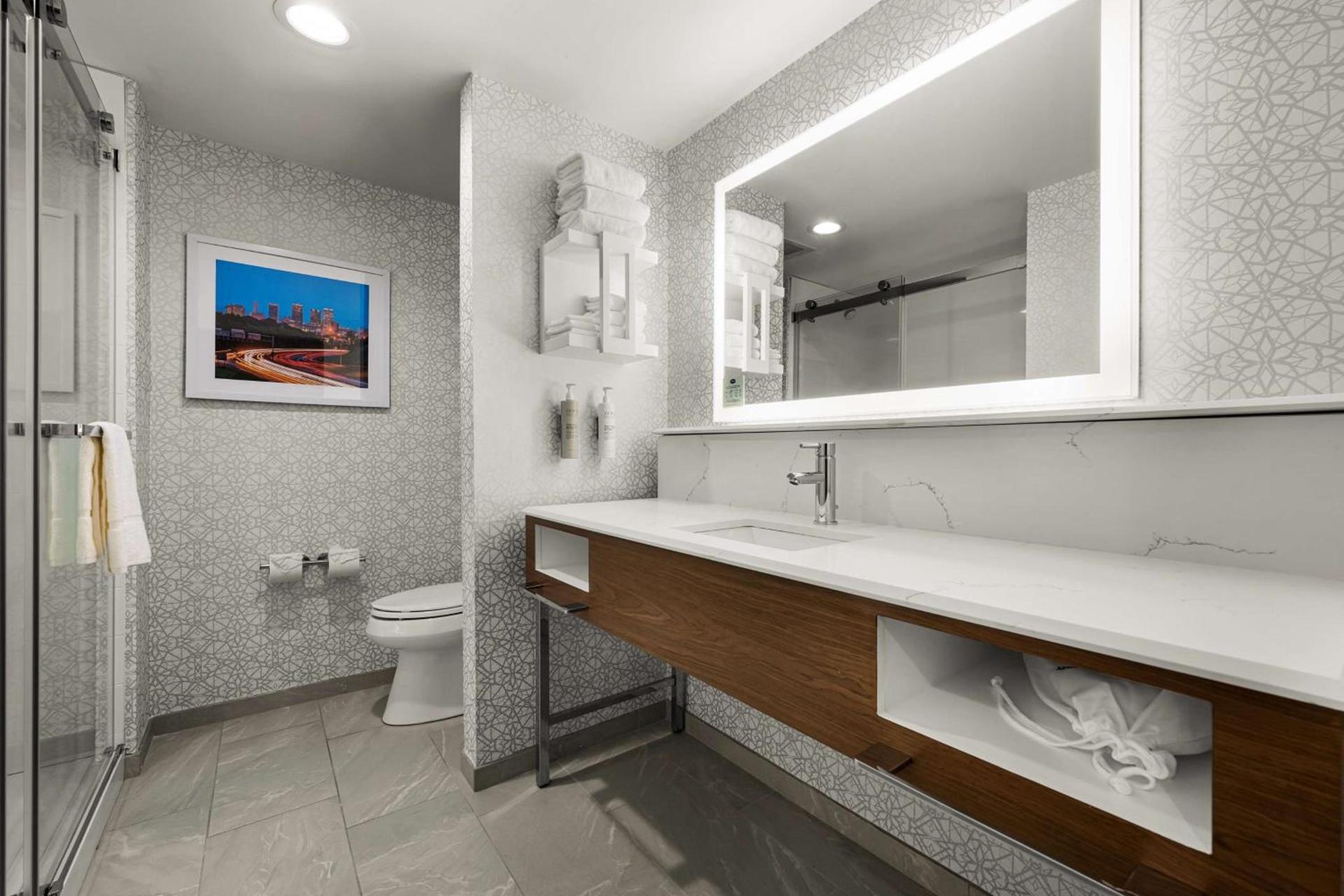 Hampton Inn & Suites Bessemer Birmingham photo 20