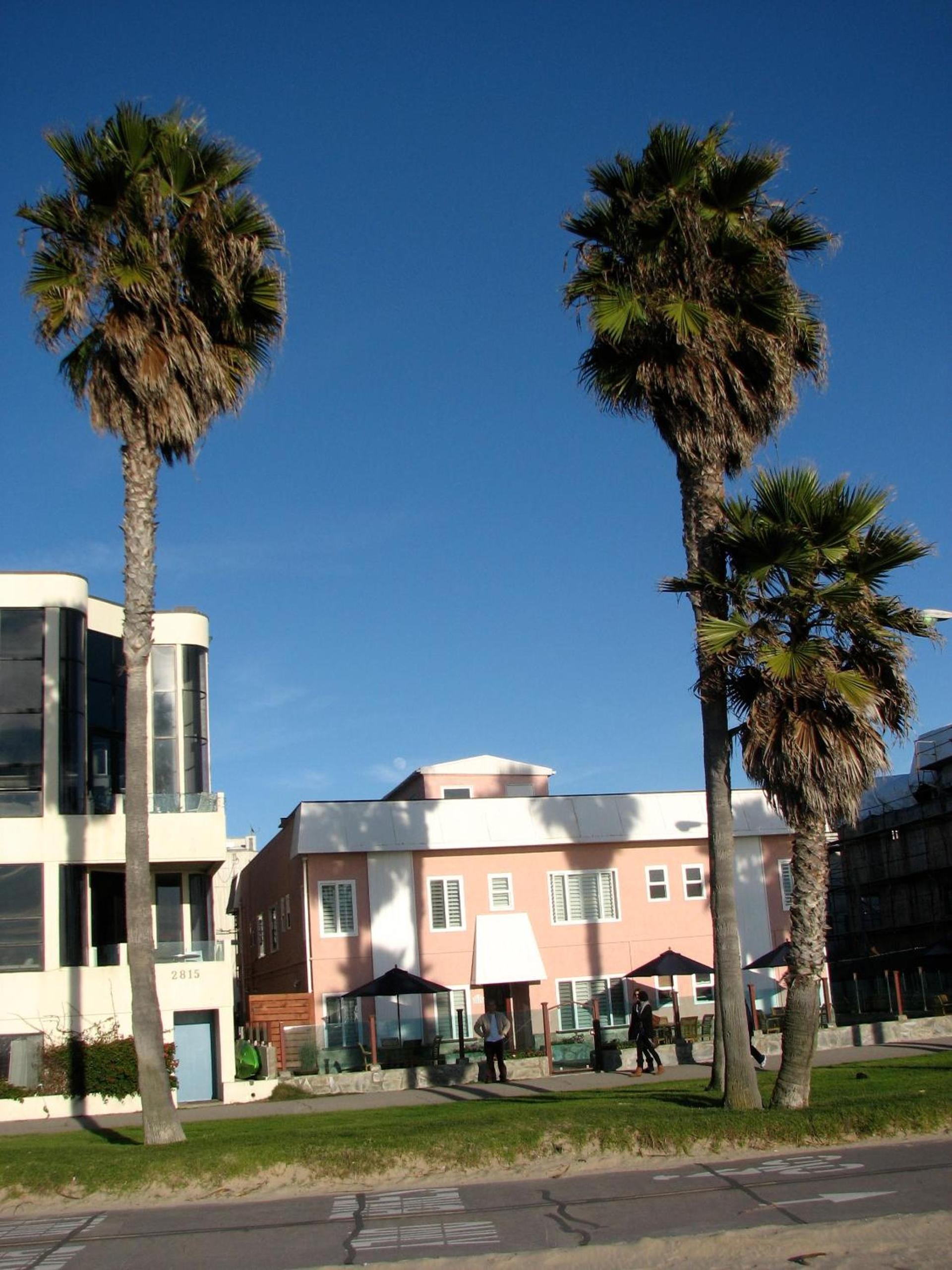 Venice on the Beach Hotel photo 26