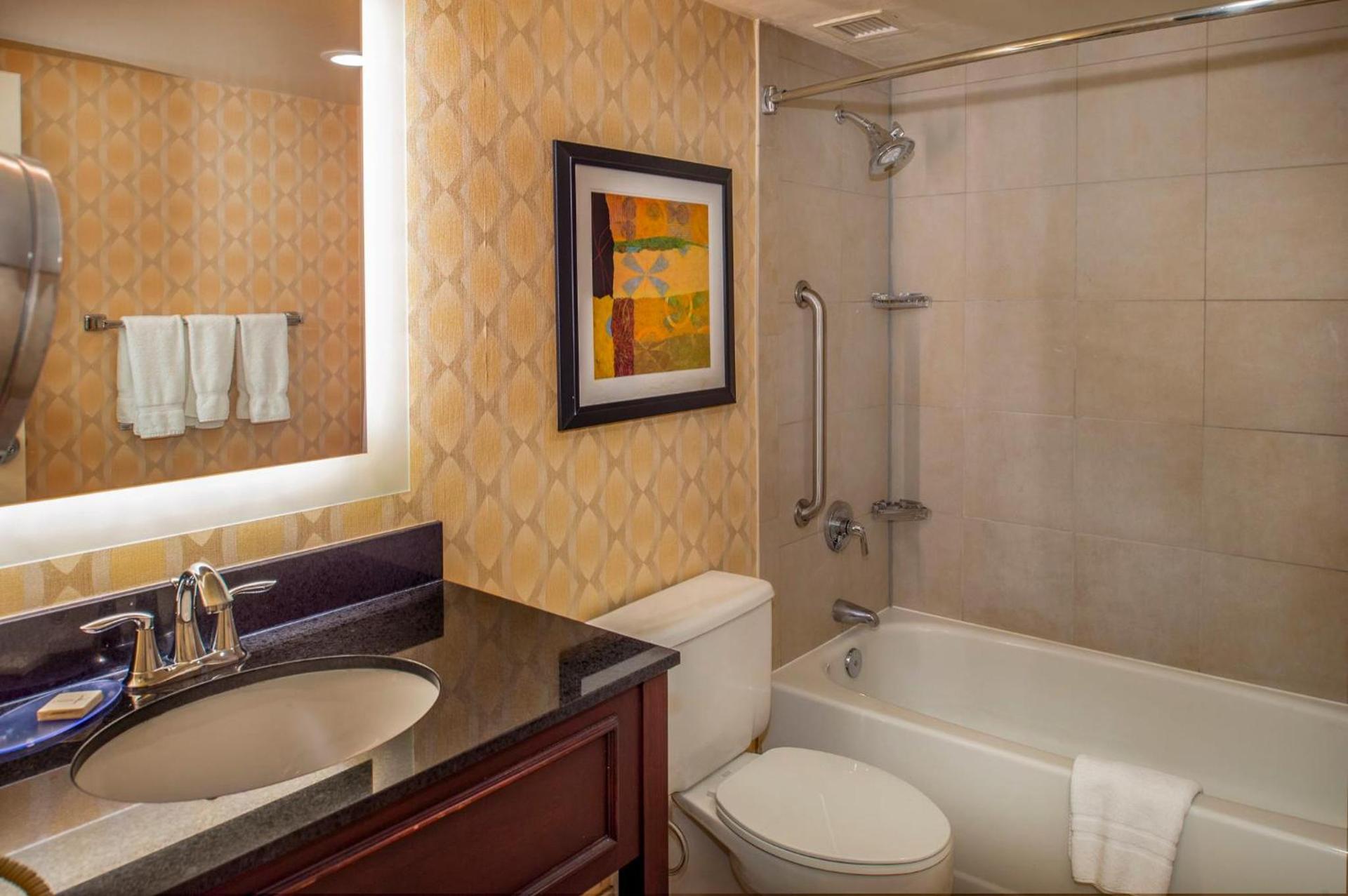 Crowne Plaza Hotel St. Louis Airport by IHG photo 84