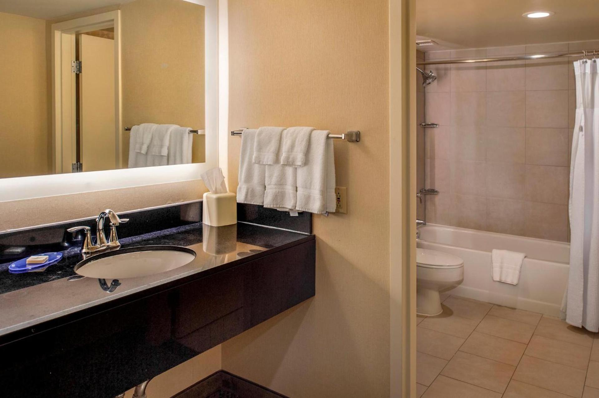 Crowne Plaza Hotel St. Louis Airport by IHG photo 80