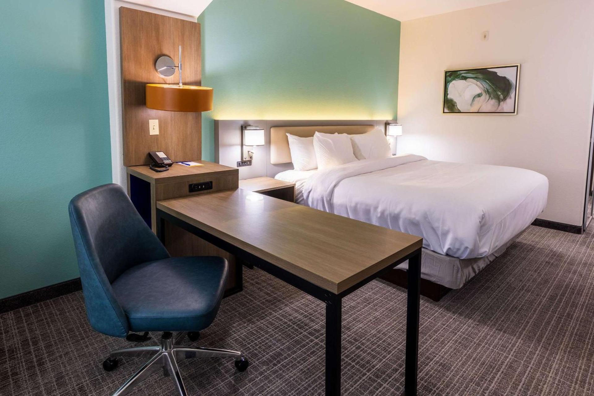 Comfort Inn & Suites New Iberia - Avery Island photo 28