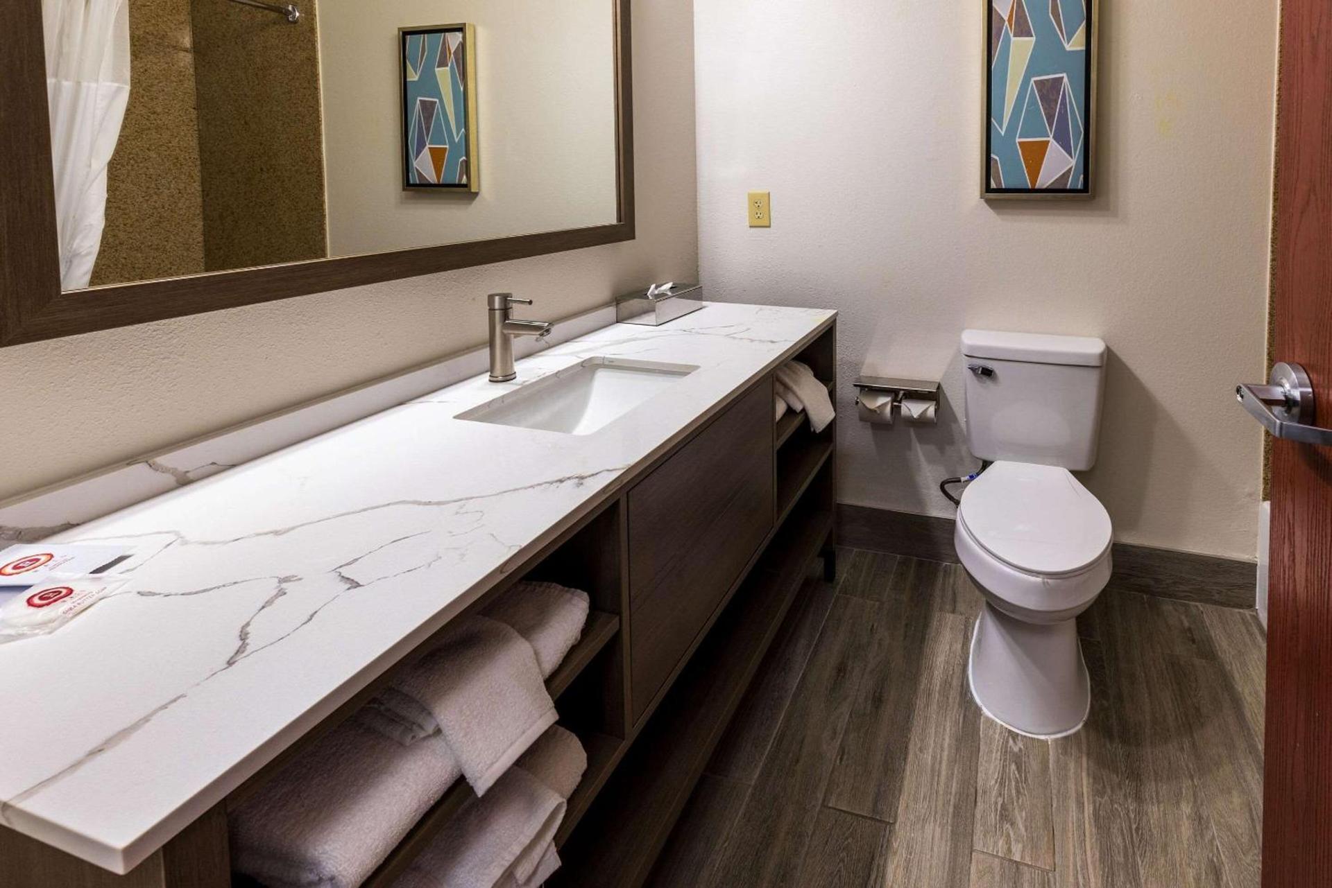 Comfort Inn & Suites New Iberia - Avery Island photo 32