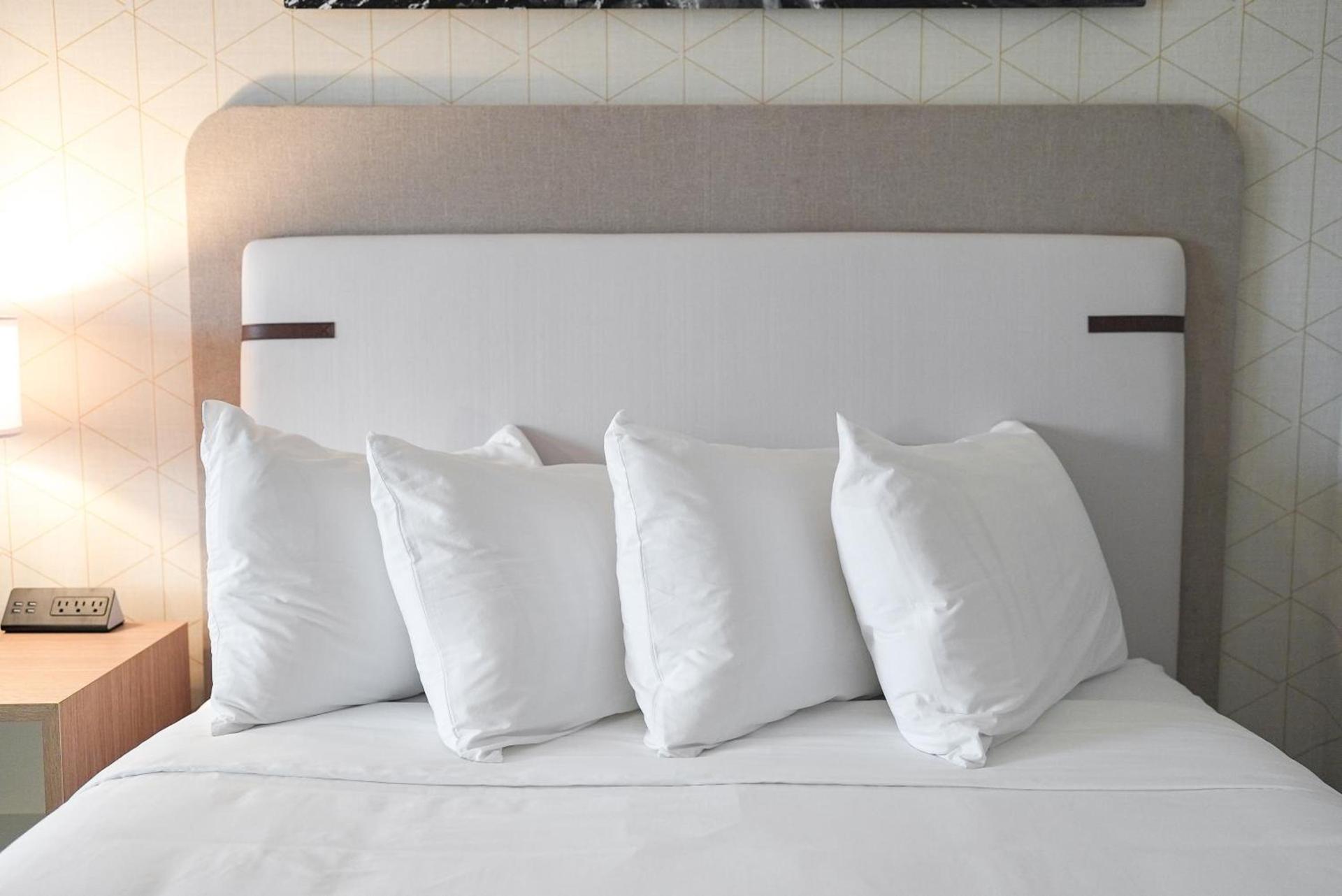 The Boulevard Hotel photo 6