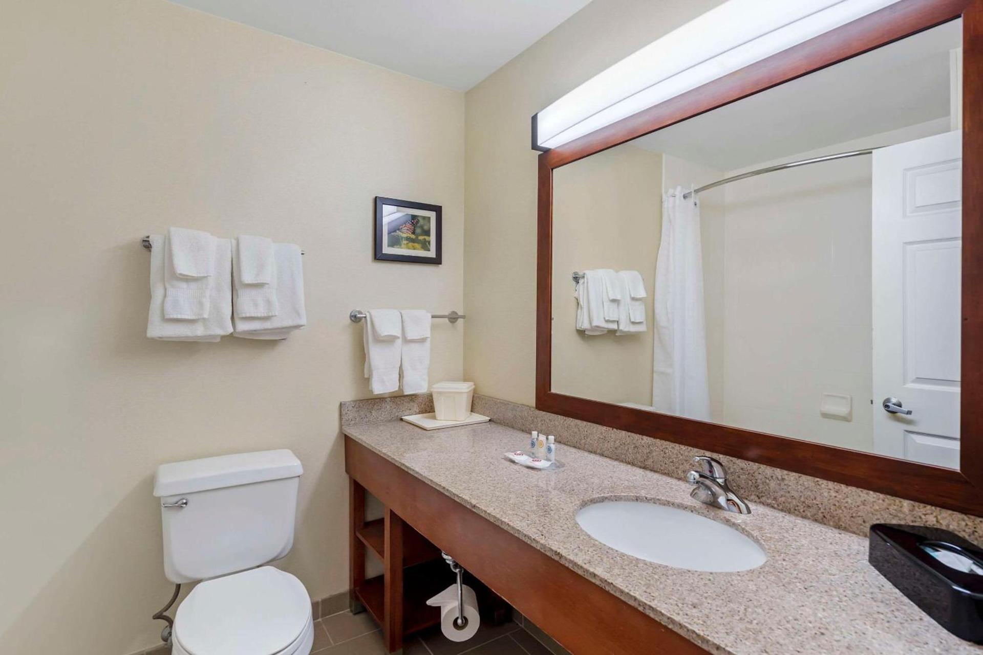 Comfort Suites Normal University area photo 11