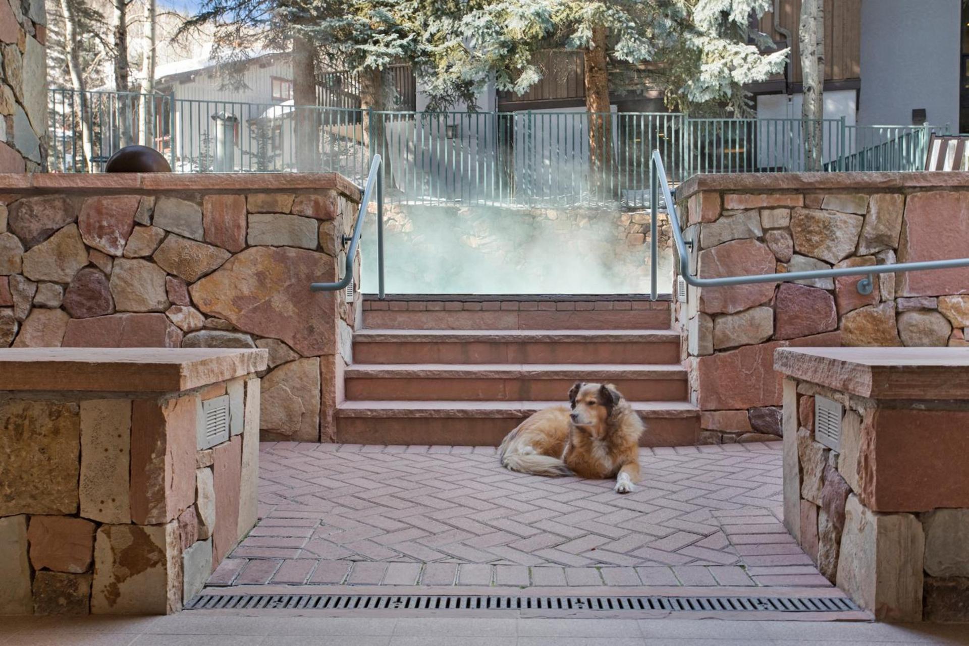 The Galatyn Lodge photo 7