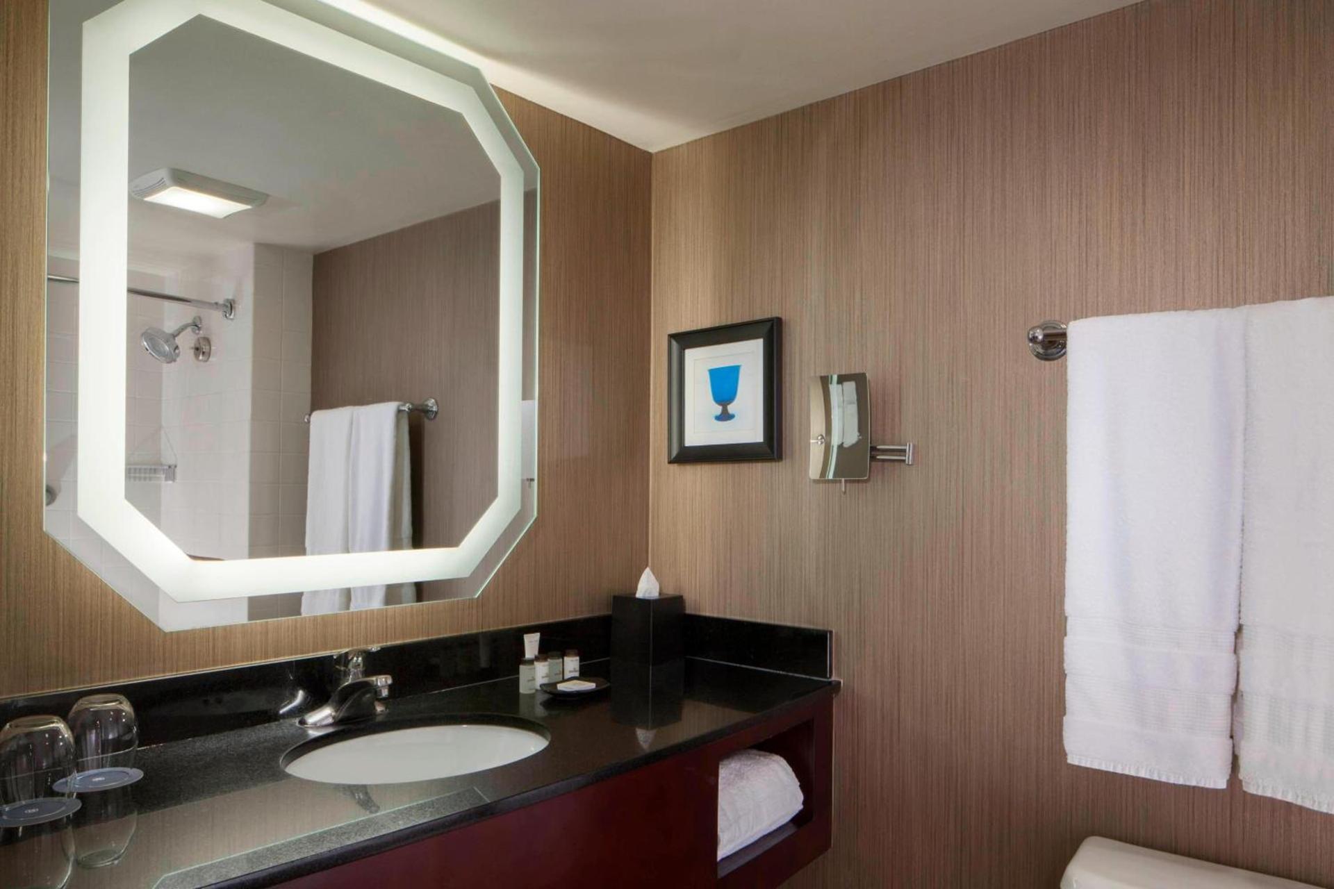 Sheraton DFW Airport Hotel photo 11
