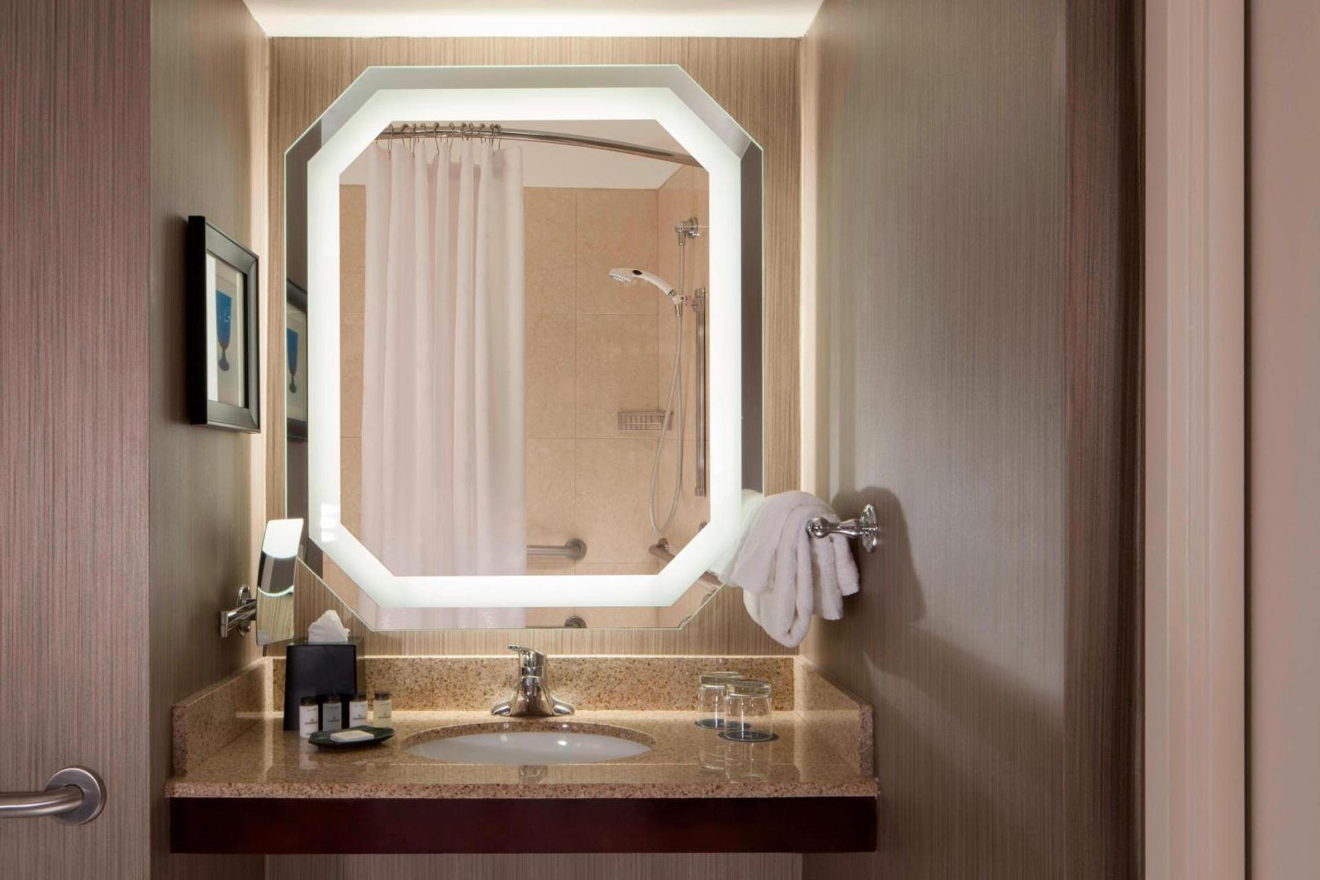 Sheraton DFW Airport Hotel photo 13