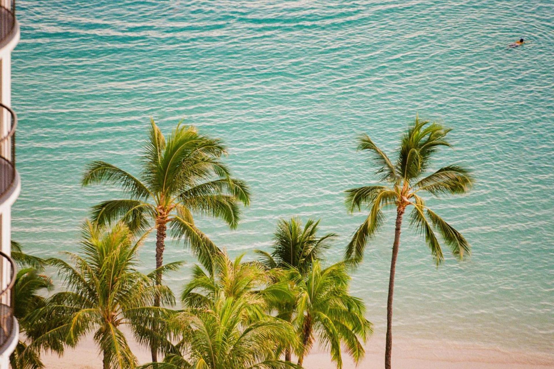 Waikiki Beach Marriott Resort & Spa photo 2