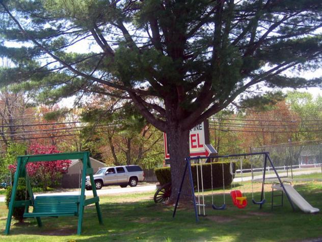 Knotty Pine Motel photo 23
