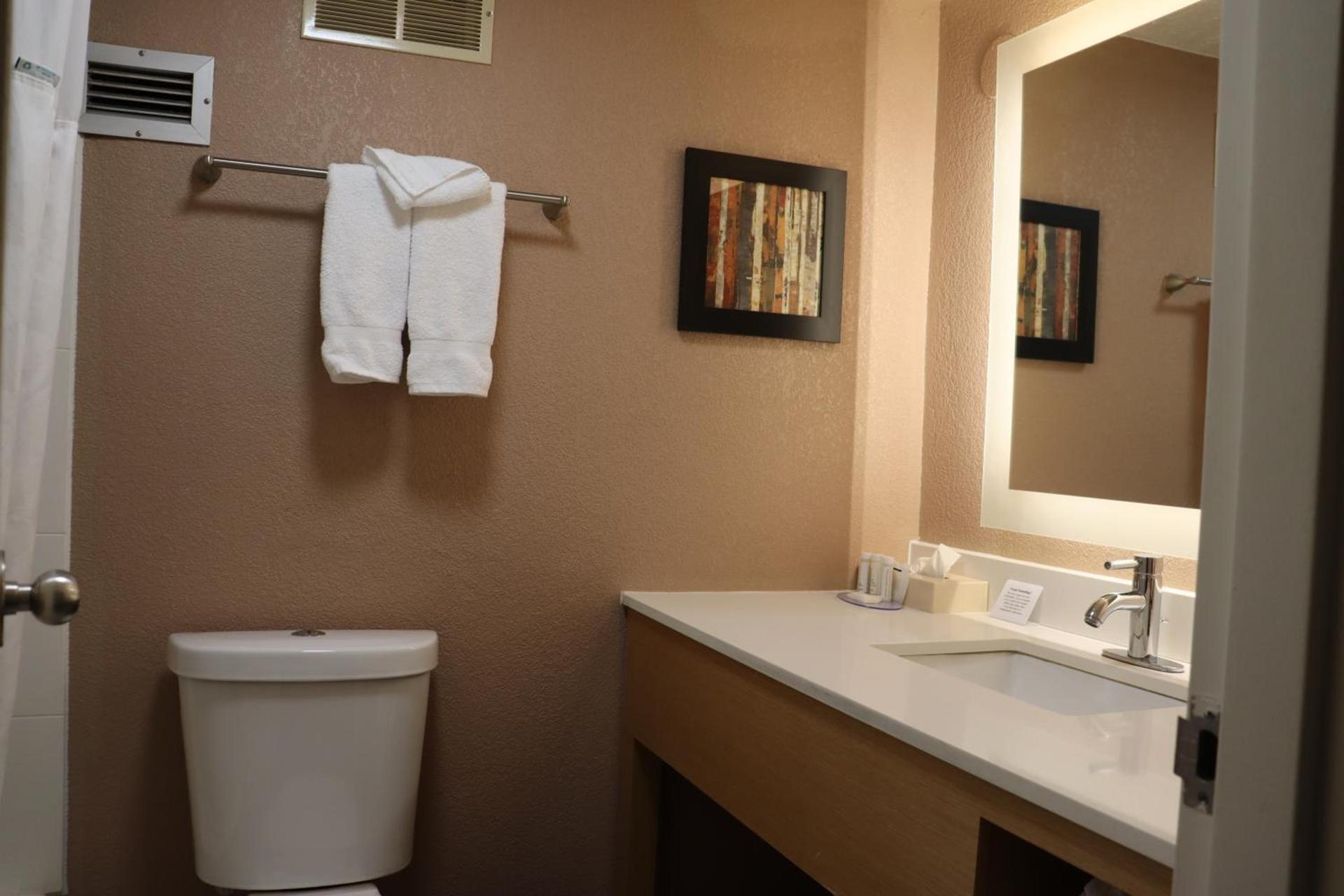 Clarion Hotel & Conference Center Lansing West photo 49