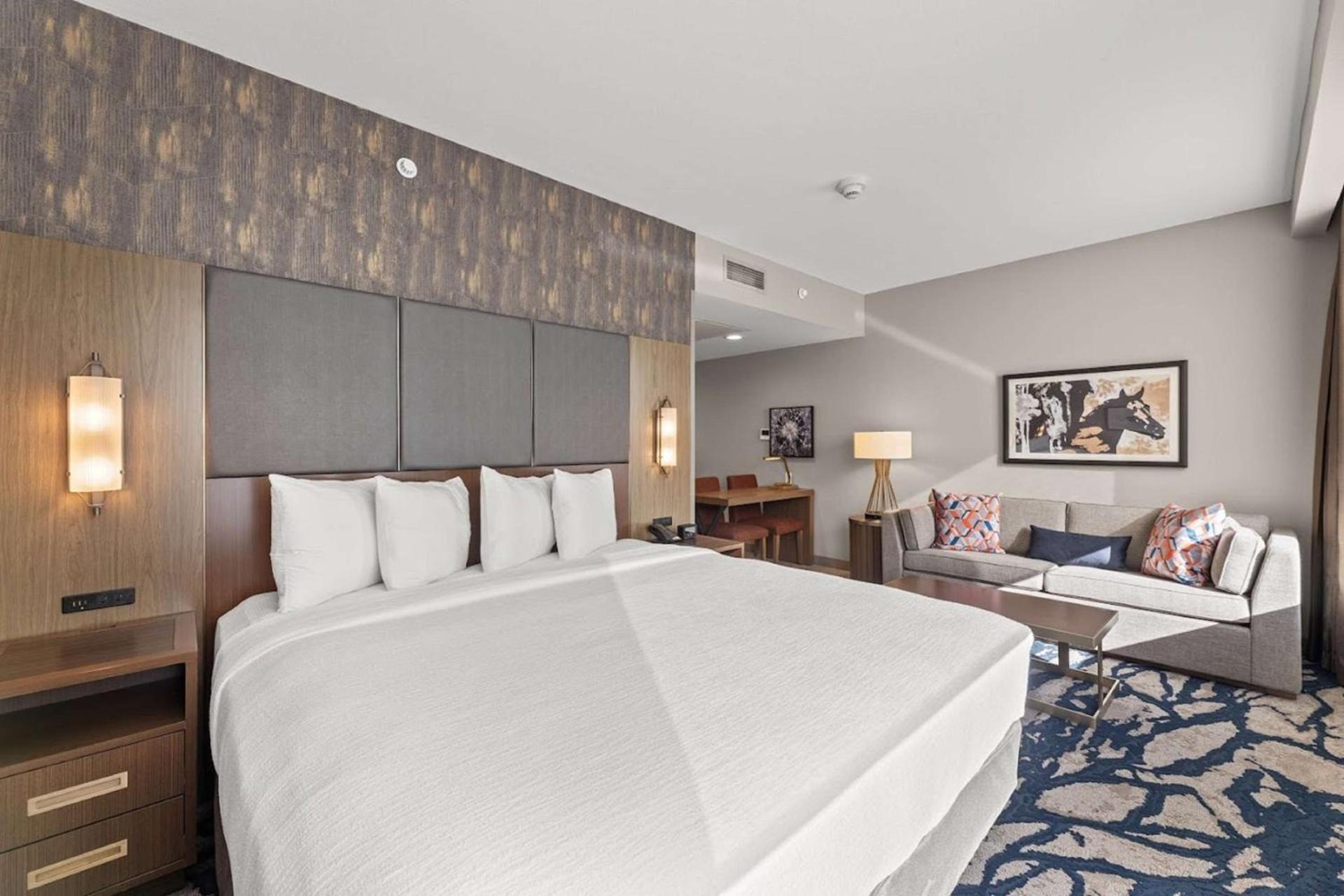 Embassy Suites By Hilton Irving Las Colinas photo 33