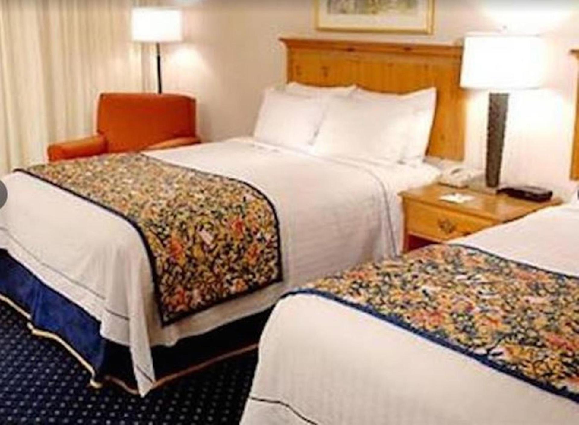 Courtyard by Marriott Buffalo Amherst/University photo 8