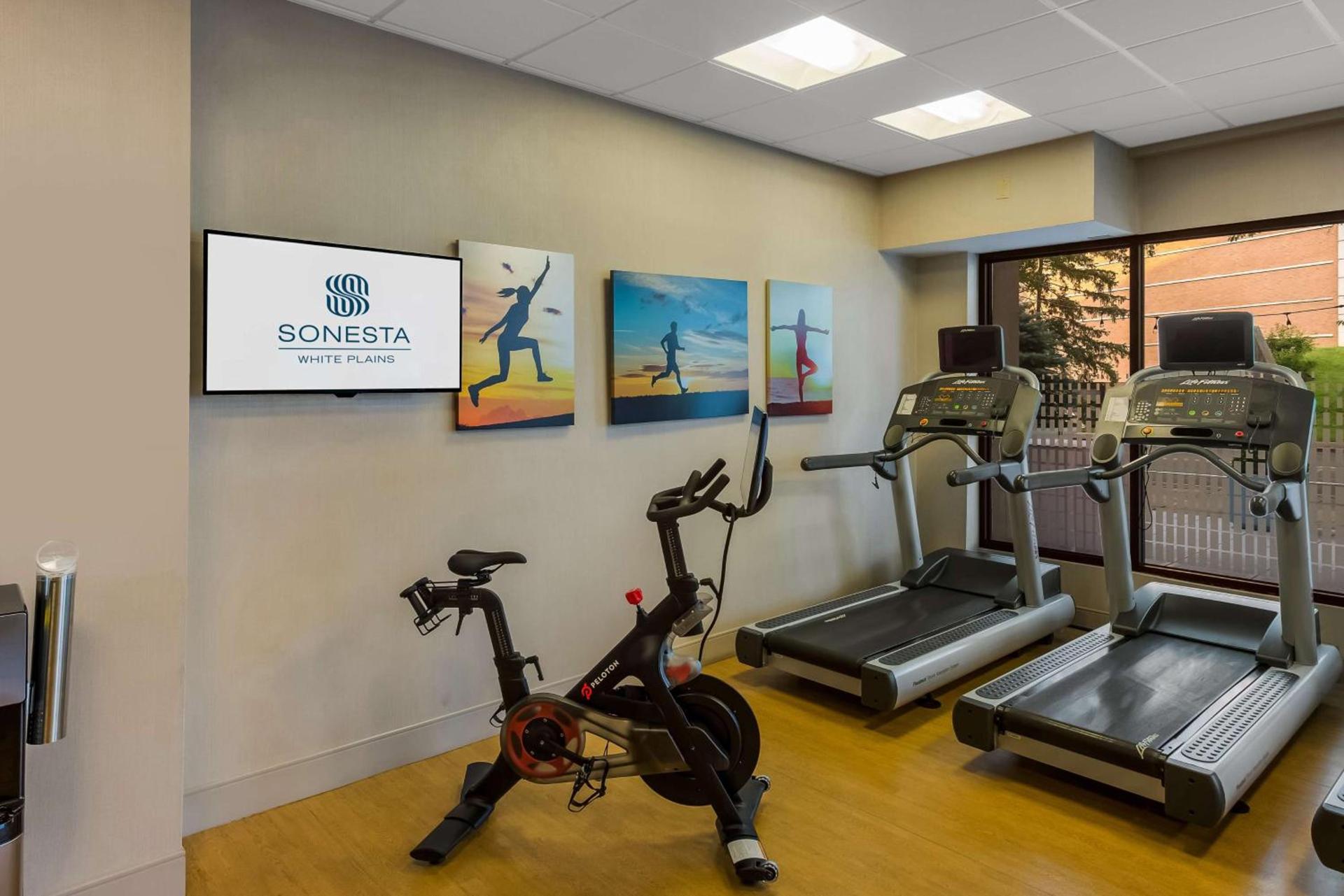 Sonesta White Plains Downtown photo 71