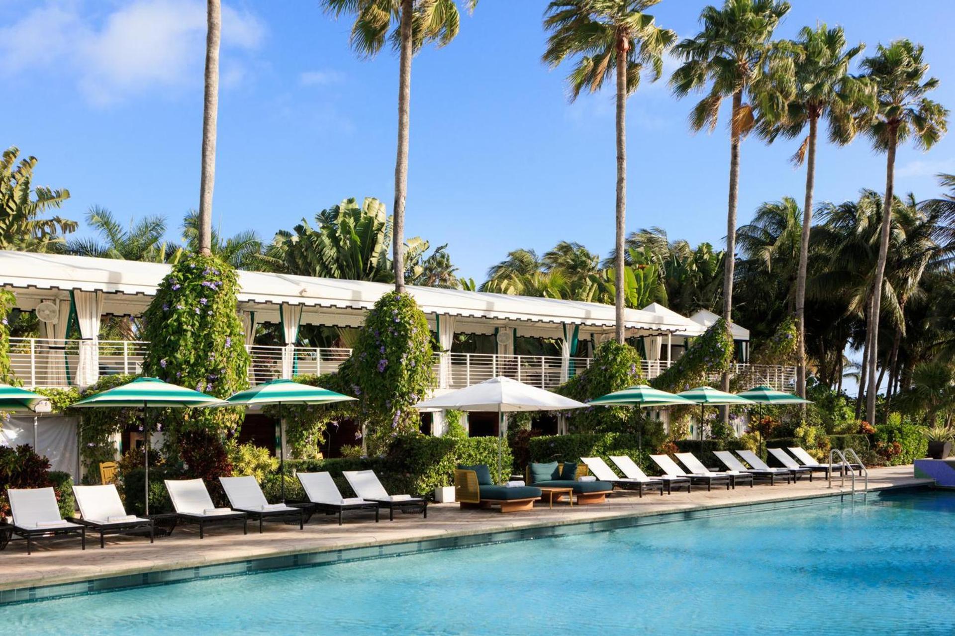 Kimpton Surfcomber Hotel by IHG photo 11
