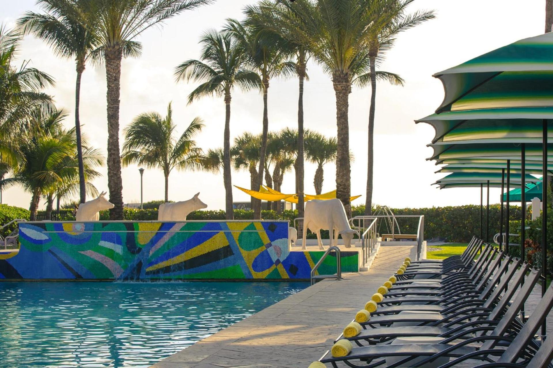 Kimpton Surfcomber Hotel by IHG photo 12