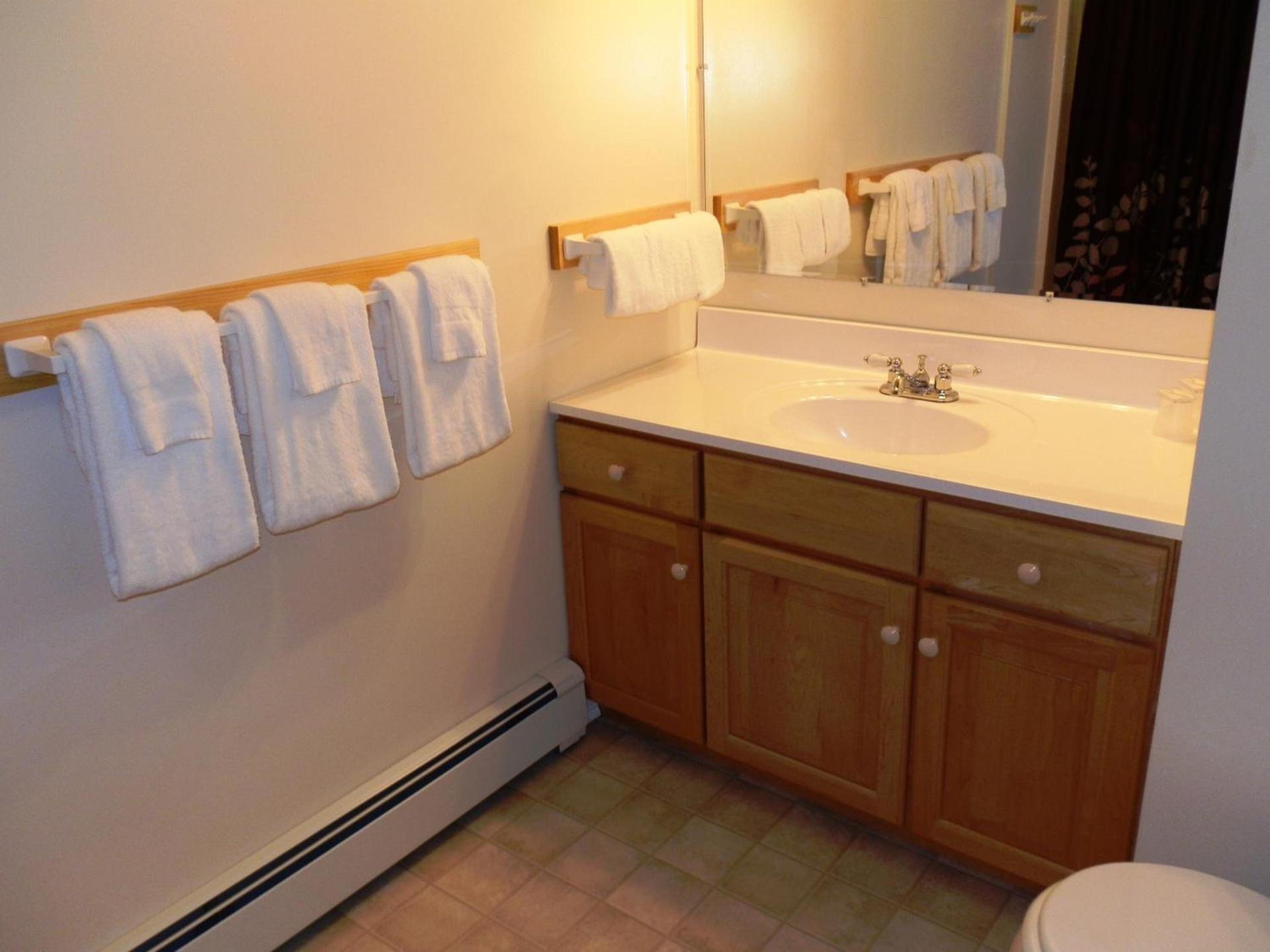 Mountain Sports Inn photo 38