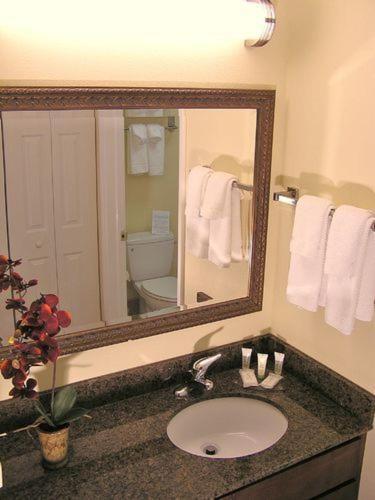 Staybridge Suites Harrisburg-Hershey by IHG photo 9