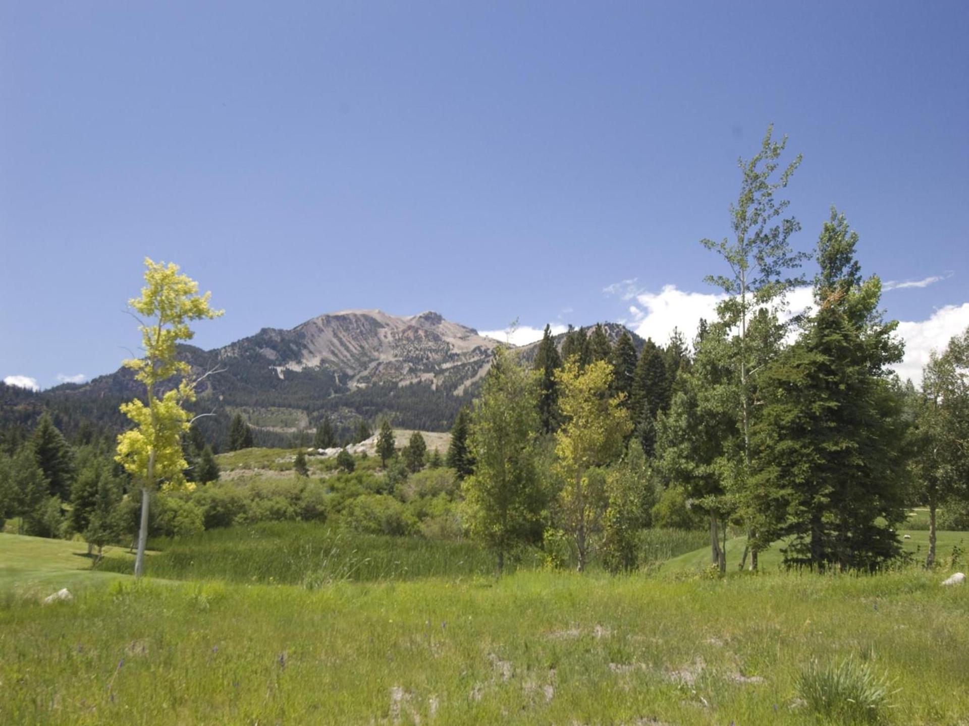 Snowcreek Resort Vacation Rentals photo 39
