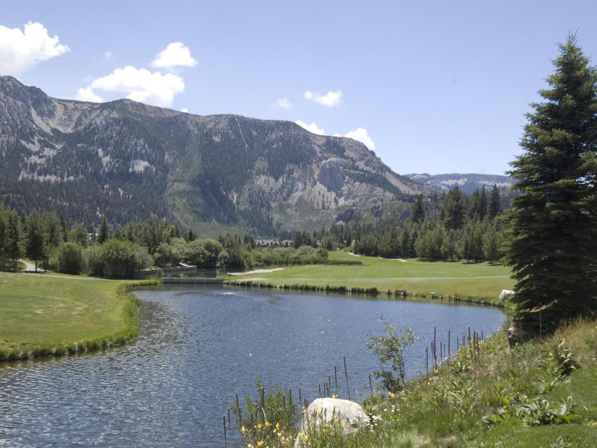 Snowcreek Resort Vacation Rentals photo 40