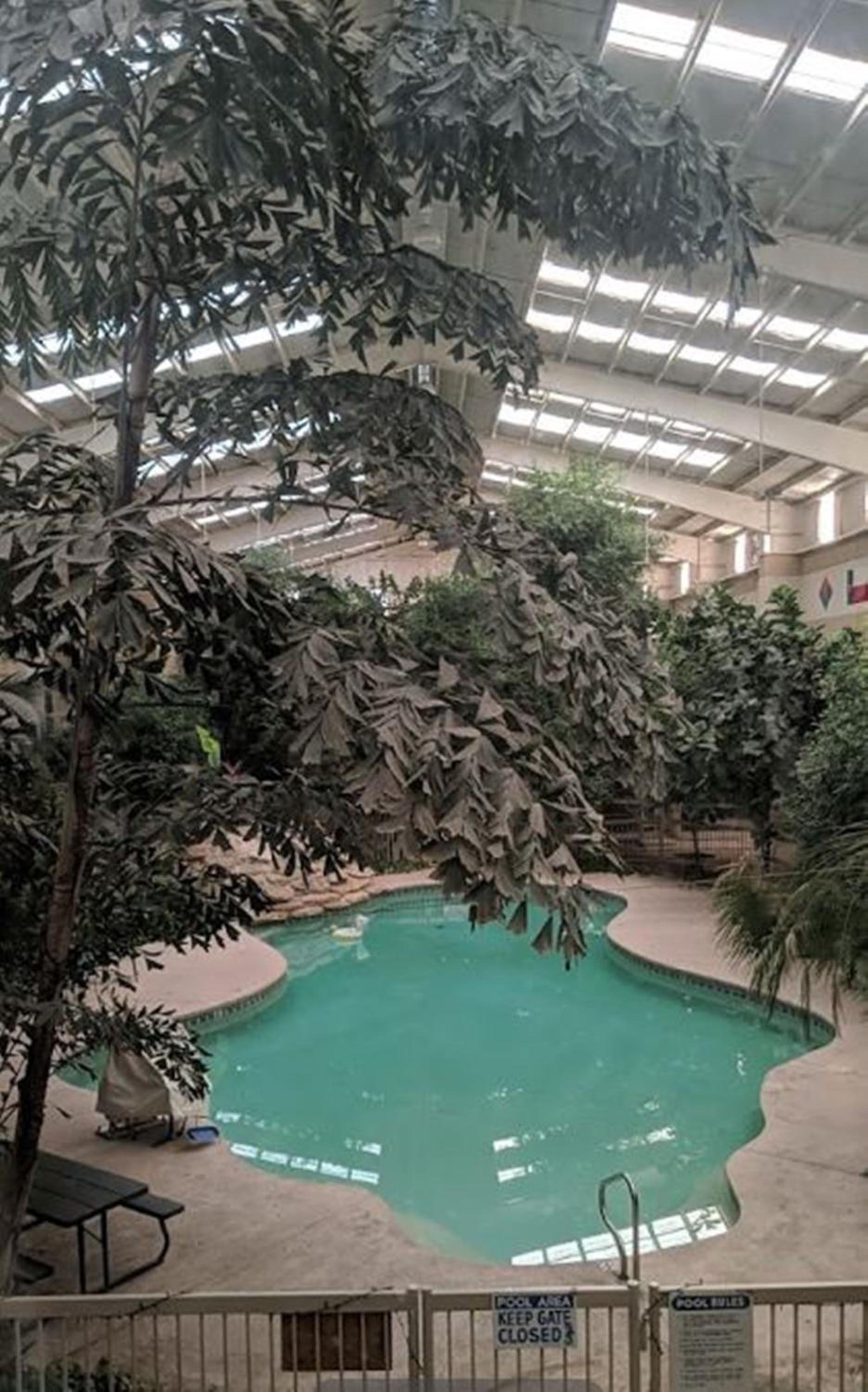 Atrium Inn photo 19