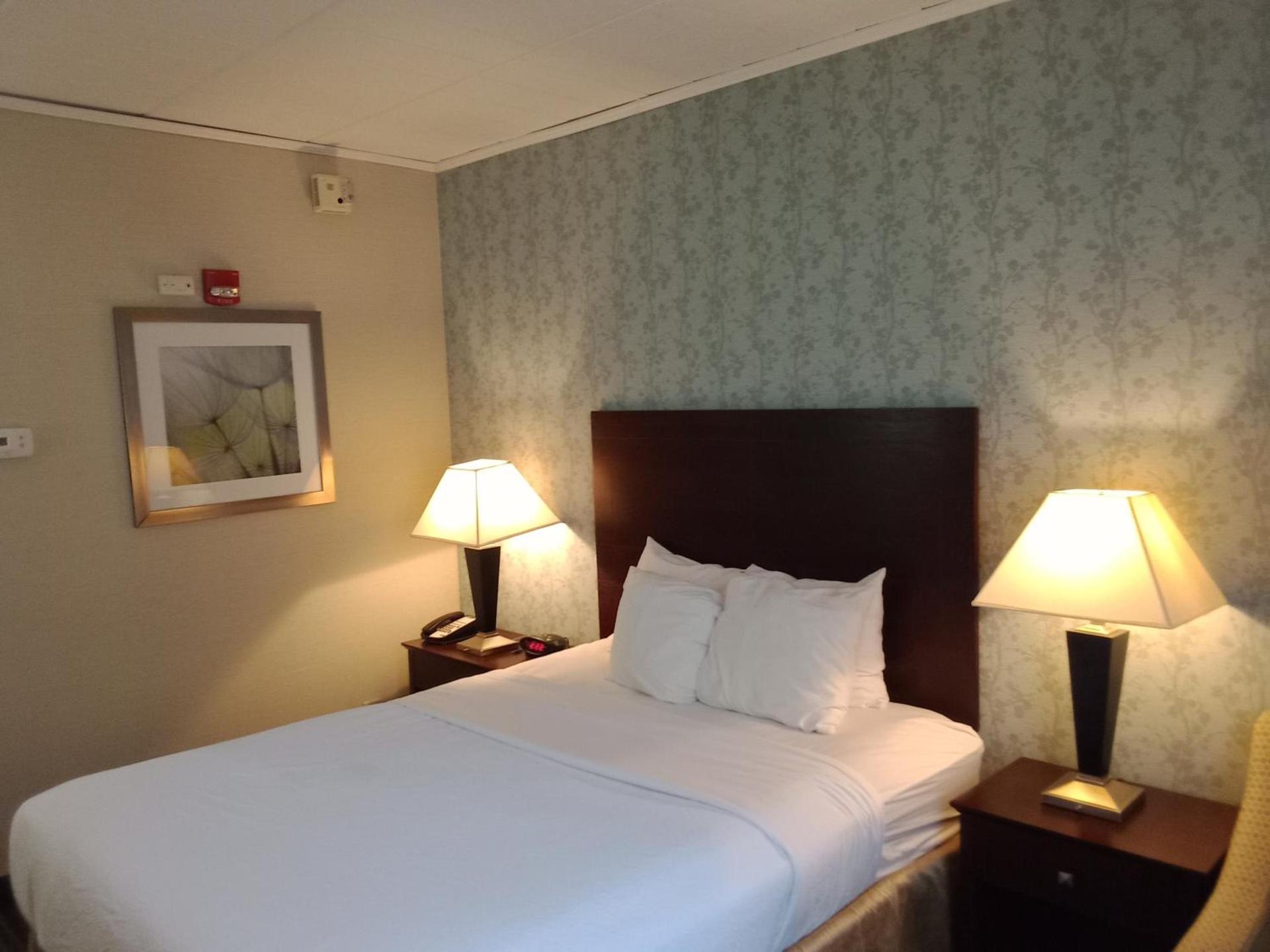 Spark by Hilton Lockport photo 12