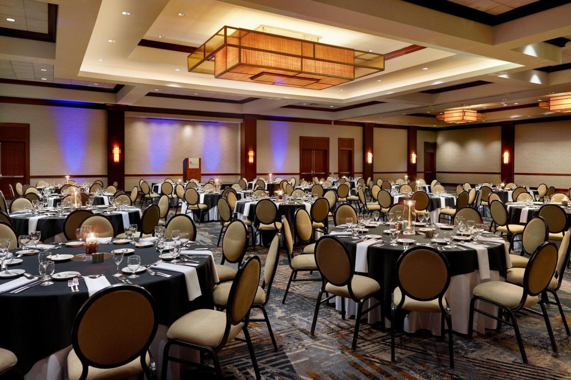 Wyndham Atlanta Buckhead Hotel & Conference Center photo 51
