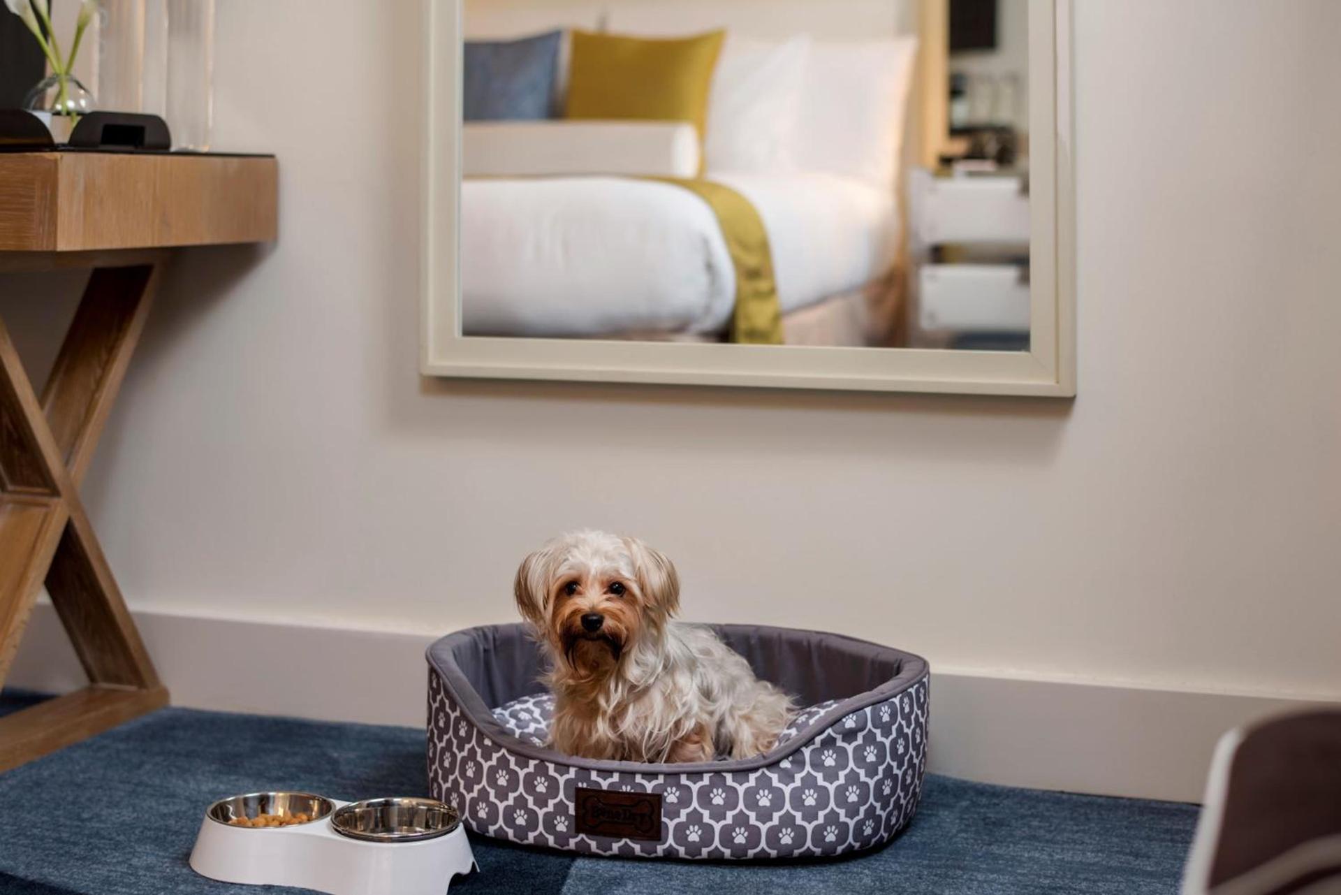 Kimpton Ashbel New York Park Avenue photo 38
