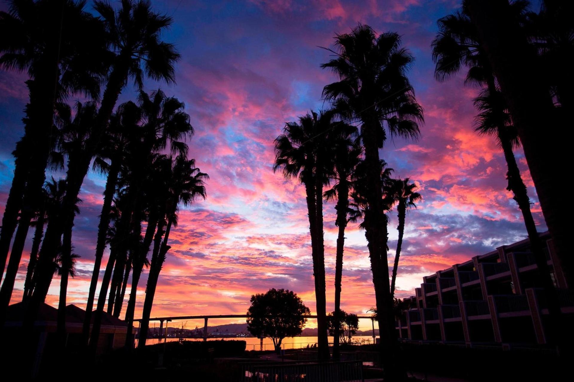 Coronado Island Marriott Resort & Spa photo 6