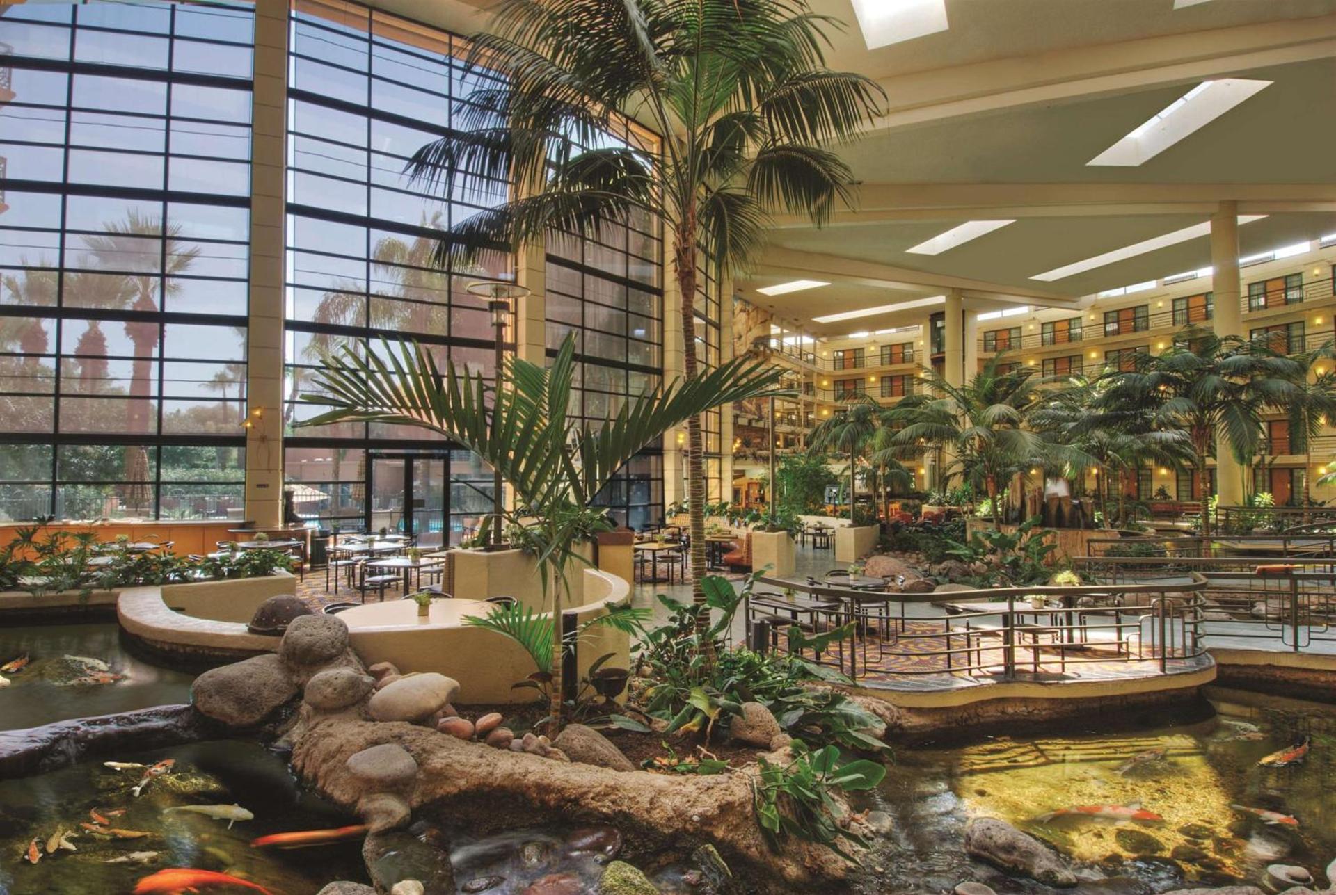 Embassy Suites by Hilton Phoenix Biltmore photo 14