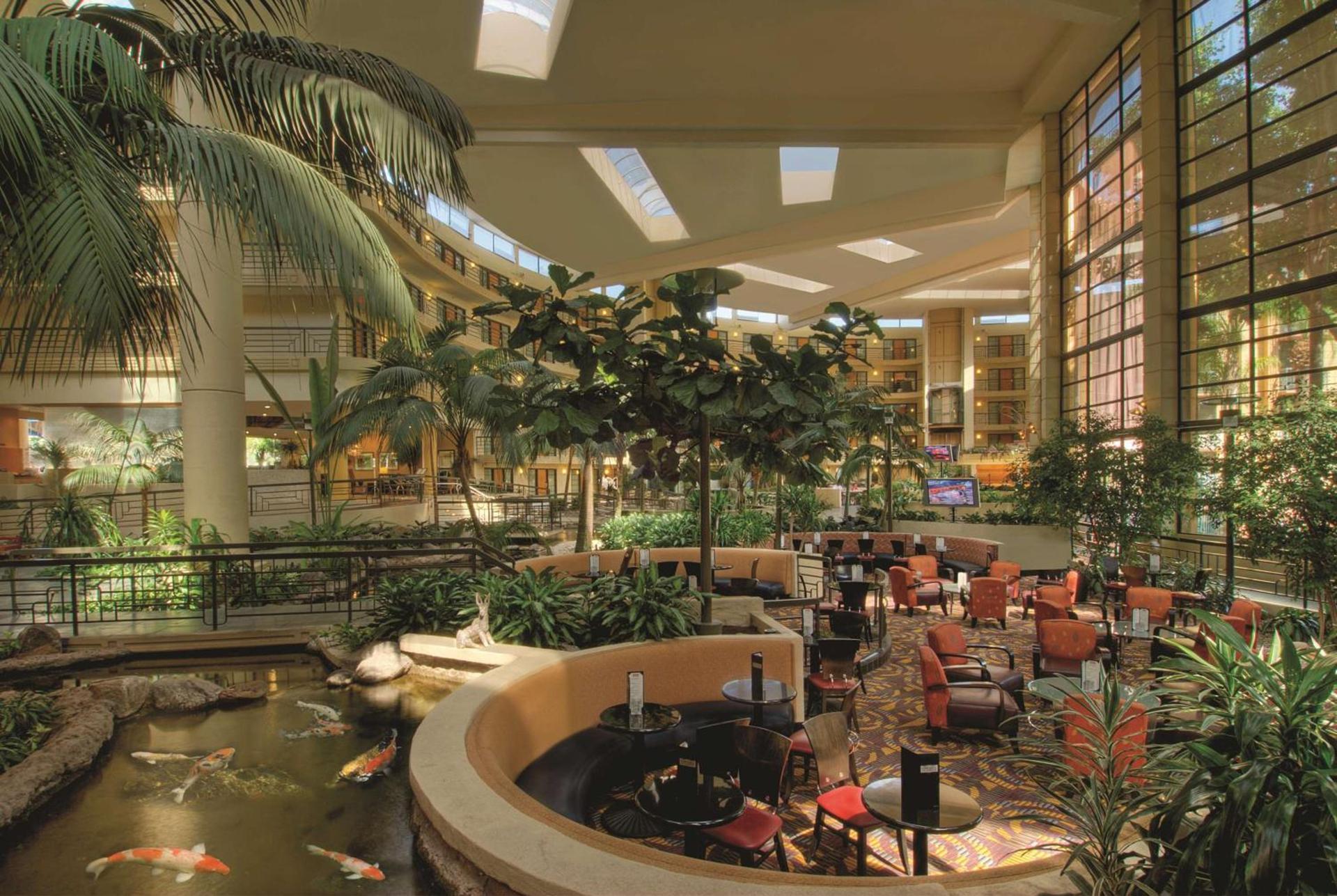 Embassy Suites by Hilton Phoenix Biltmore photo 19