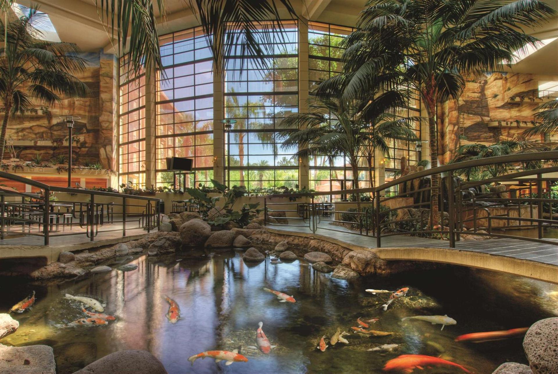 Embassy Suites by Hilton Phoenix Biltmore photo 18