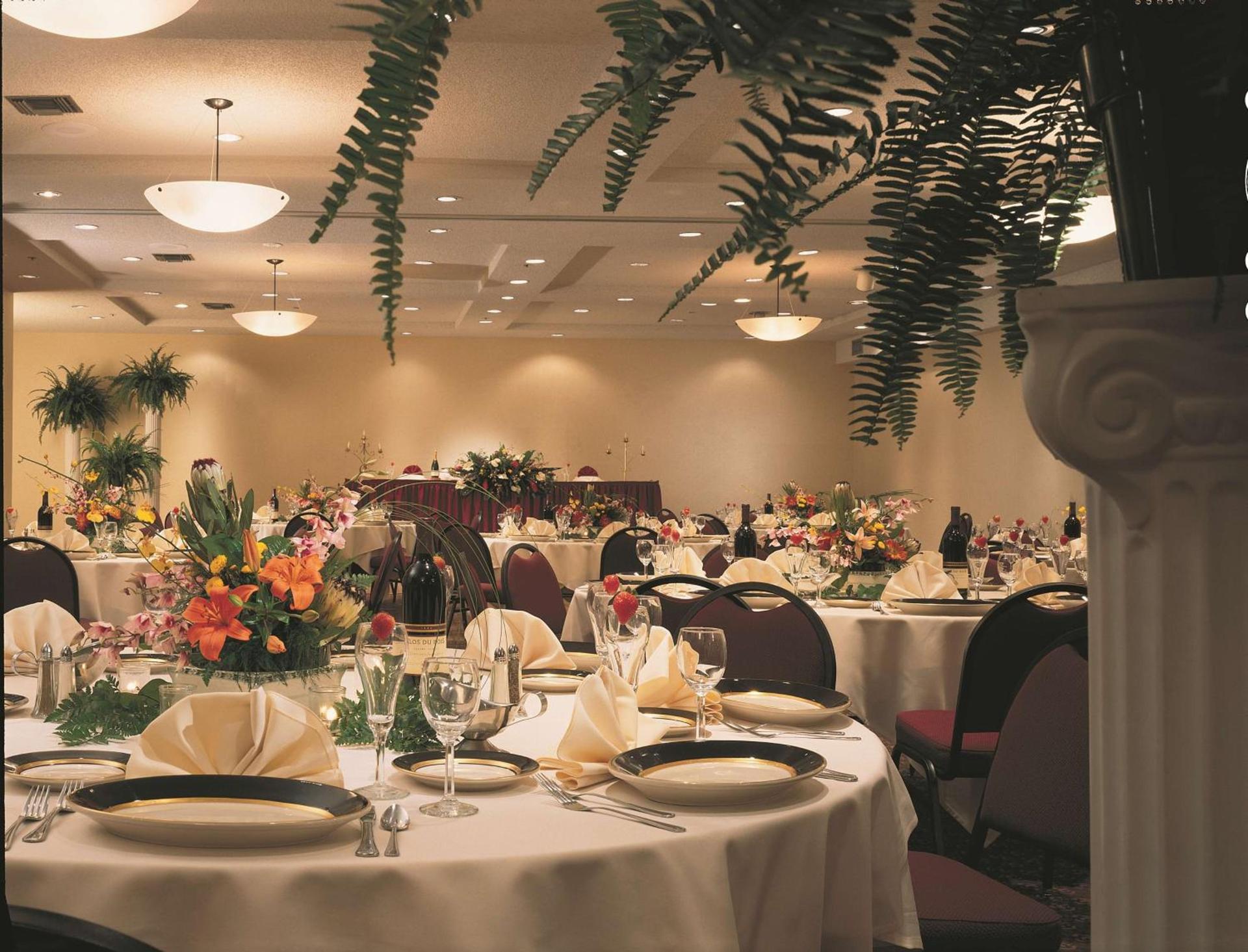 Embassy Suites by Hilton Phoenix Biltmore photo 52
